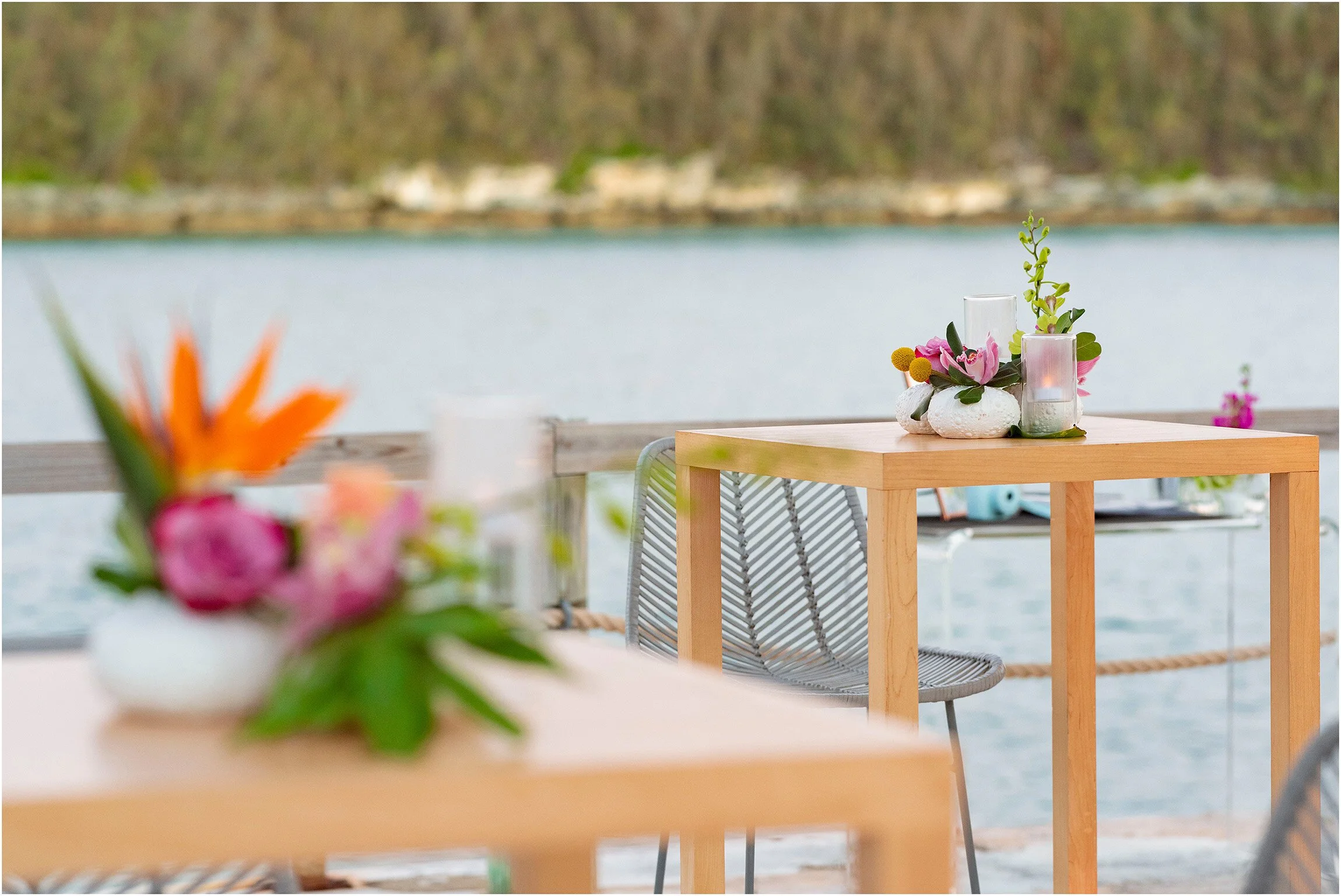 Hawkins Island Bermuda-Wedding-©FianderFoto_103.jpg