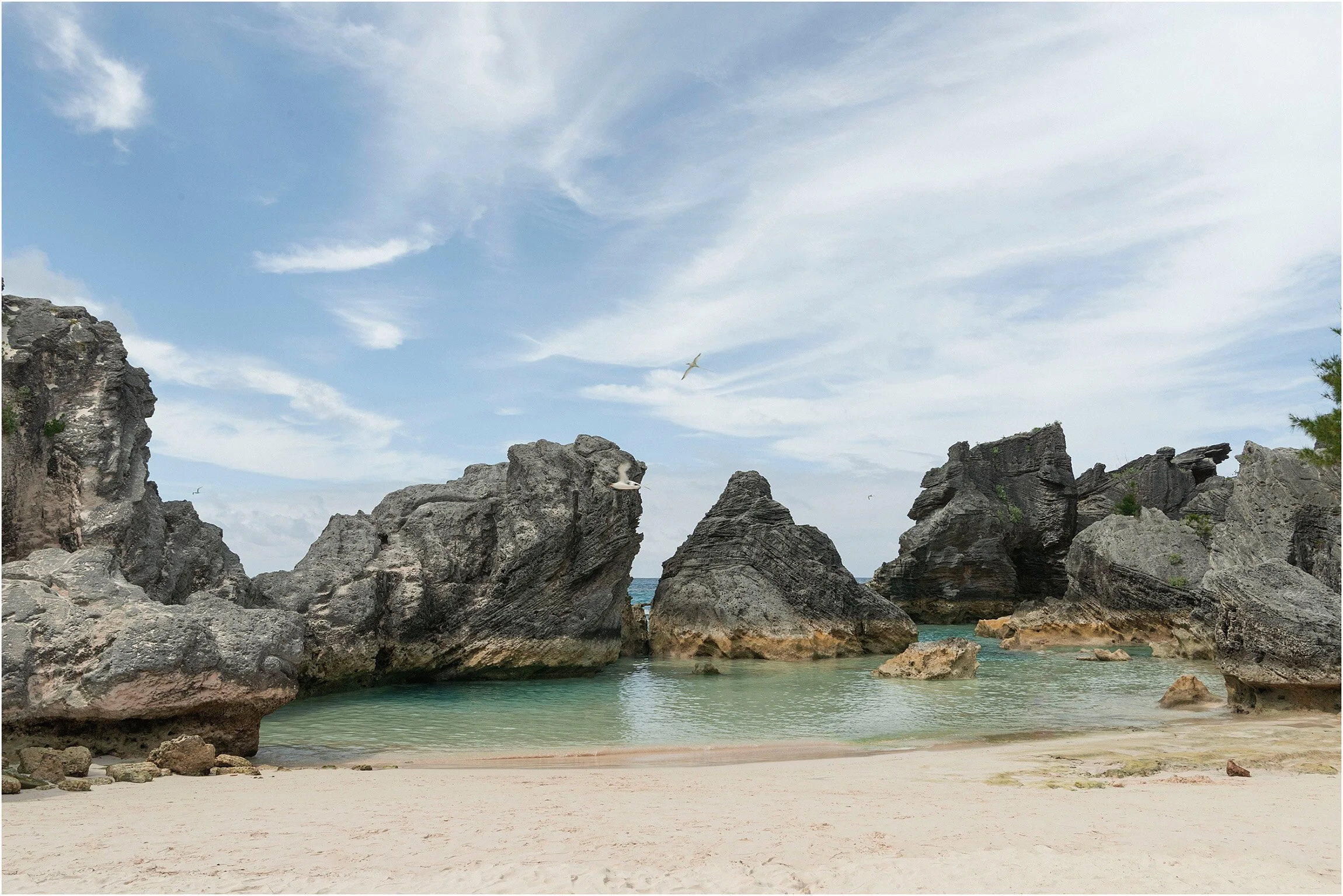 ©FianderFoto_The Loren Wedding_Covid_004.jpg