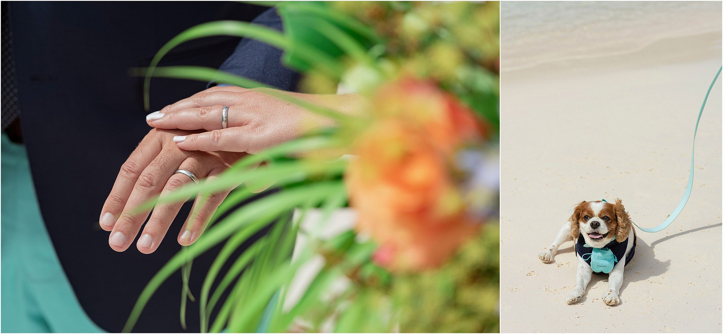 ©FianderFoto_The Loren Wedding_Covid_015.jpg