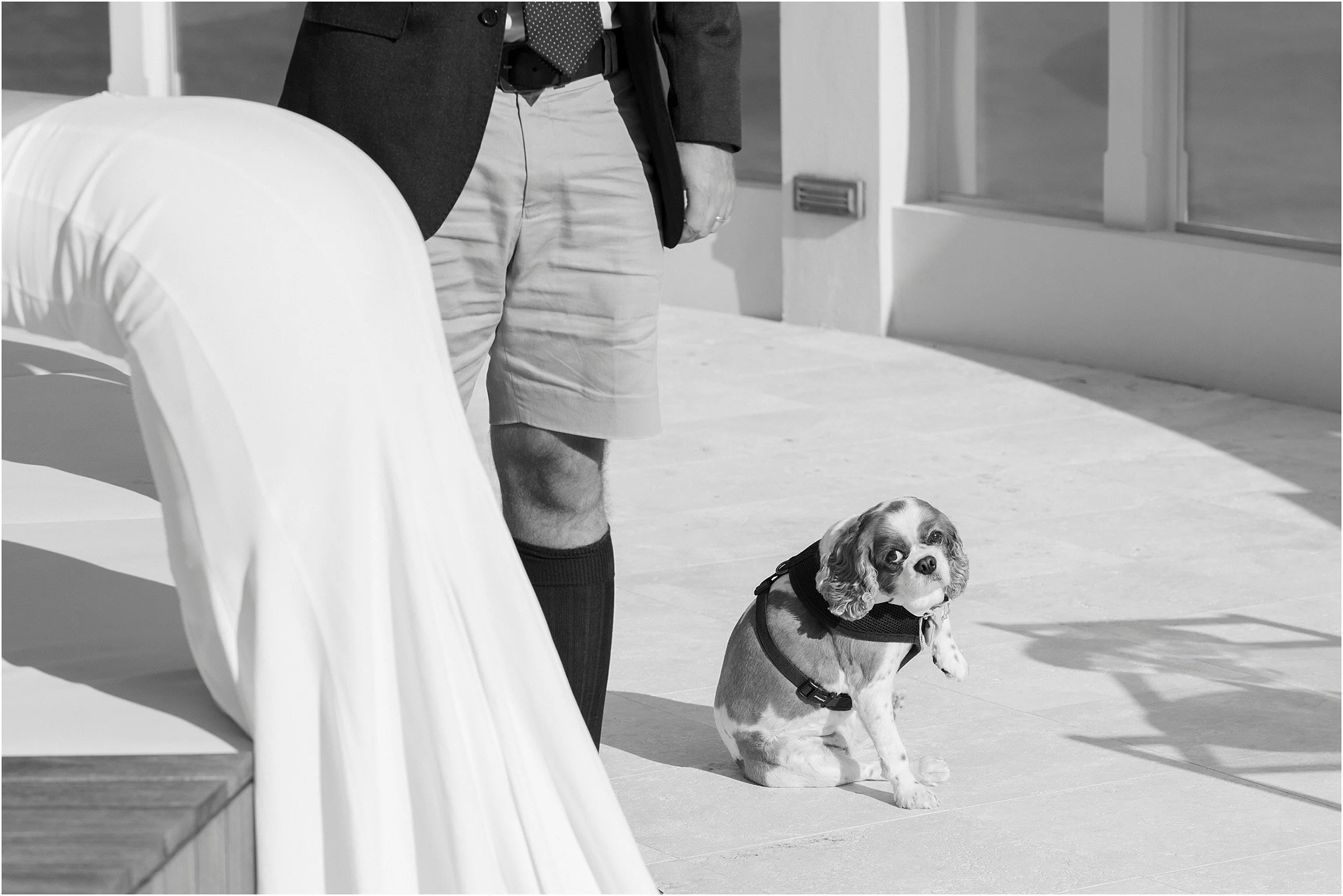 ©FianderFoto_The Loren Wedding_Covid_030.jpg