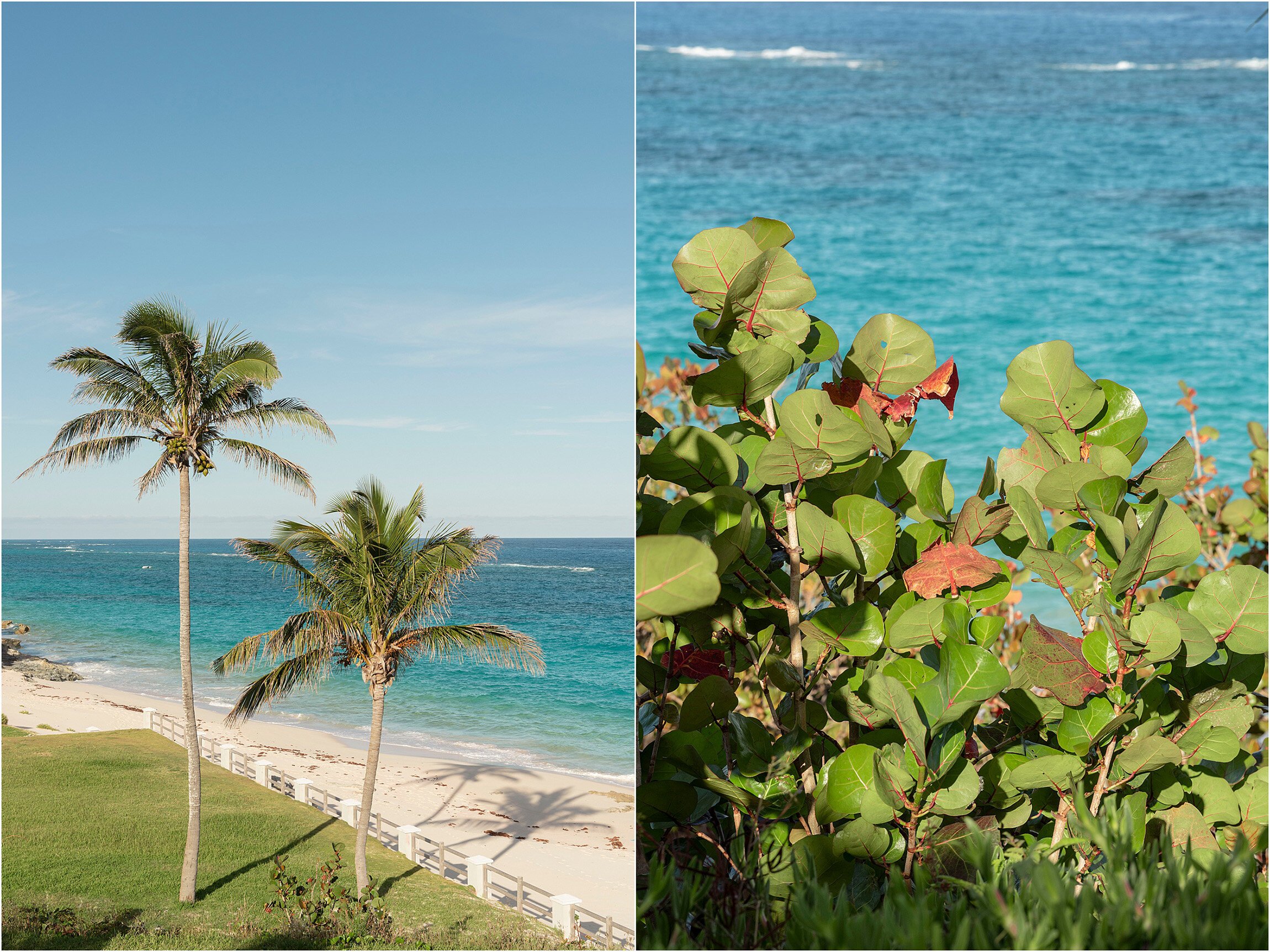 ©FianderFoto_The Loren Wedding_Covid_053.jpg
