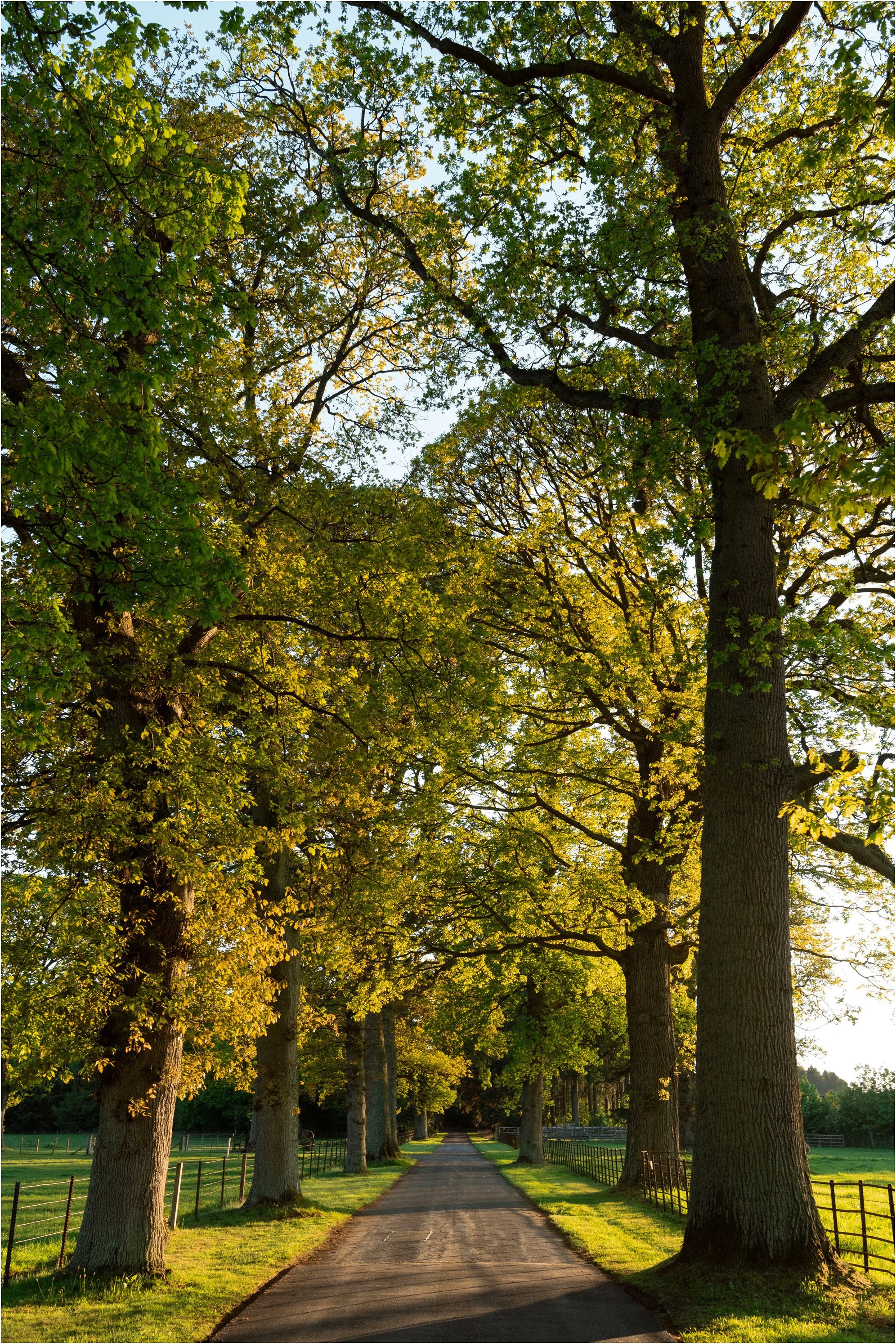 ©FianderFoto_Scotland Wedding Photographer_Errol Park Estate_Janine_Karl_008.jpg