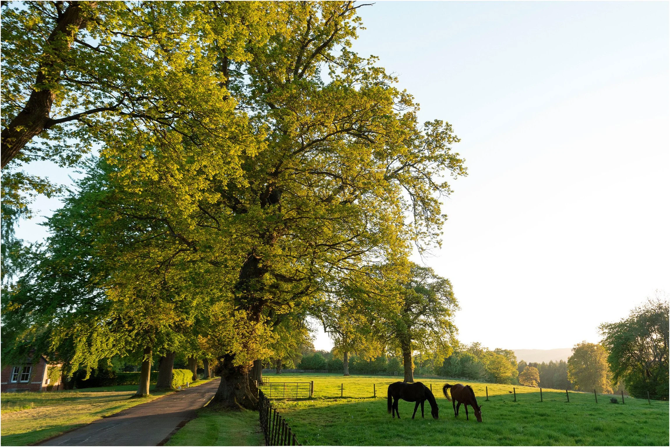 ©FianderFoto_Scotland Wedding Photographer_Errol Park Estate_Janine_Karl_011.jpg