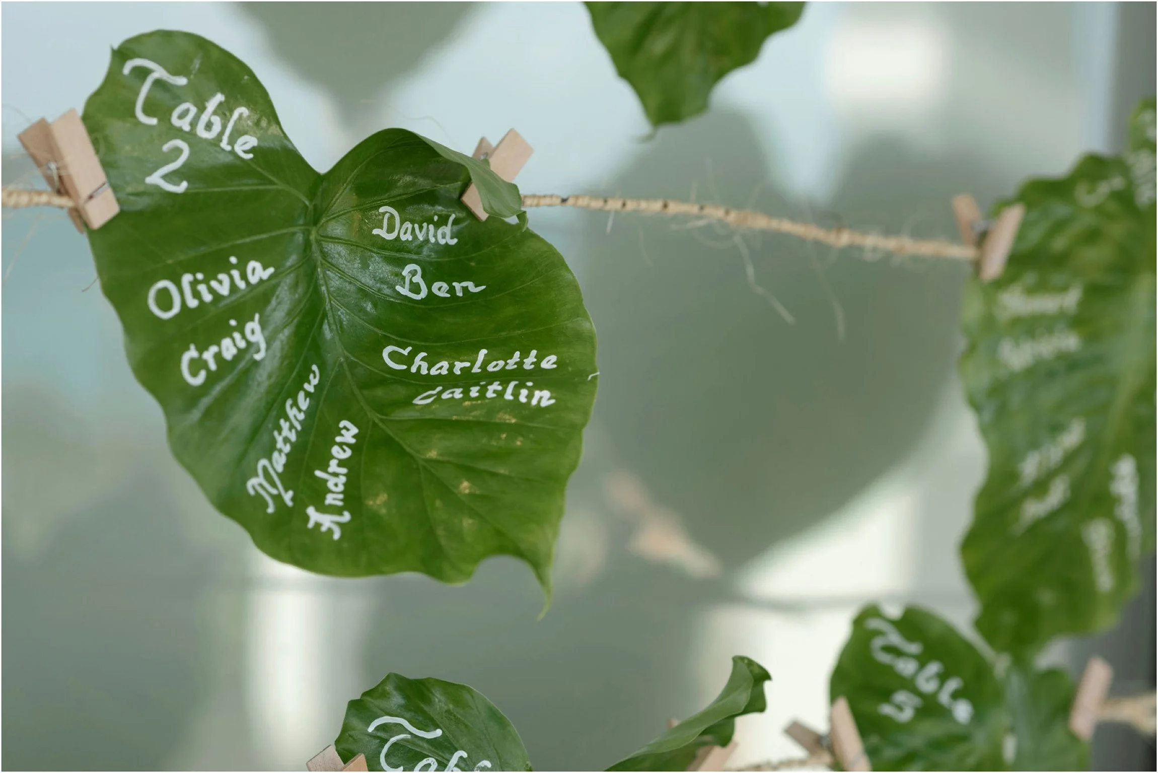 ©FianderFoto_Bermuda Wedding Photographer_Mid Ocean_Rachel_Angus_089.jpg