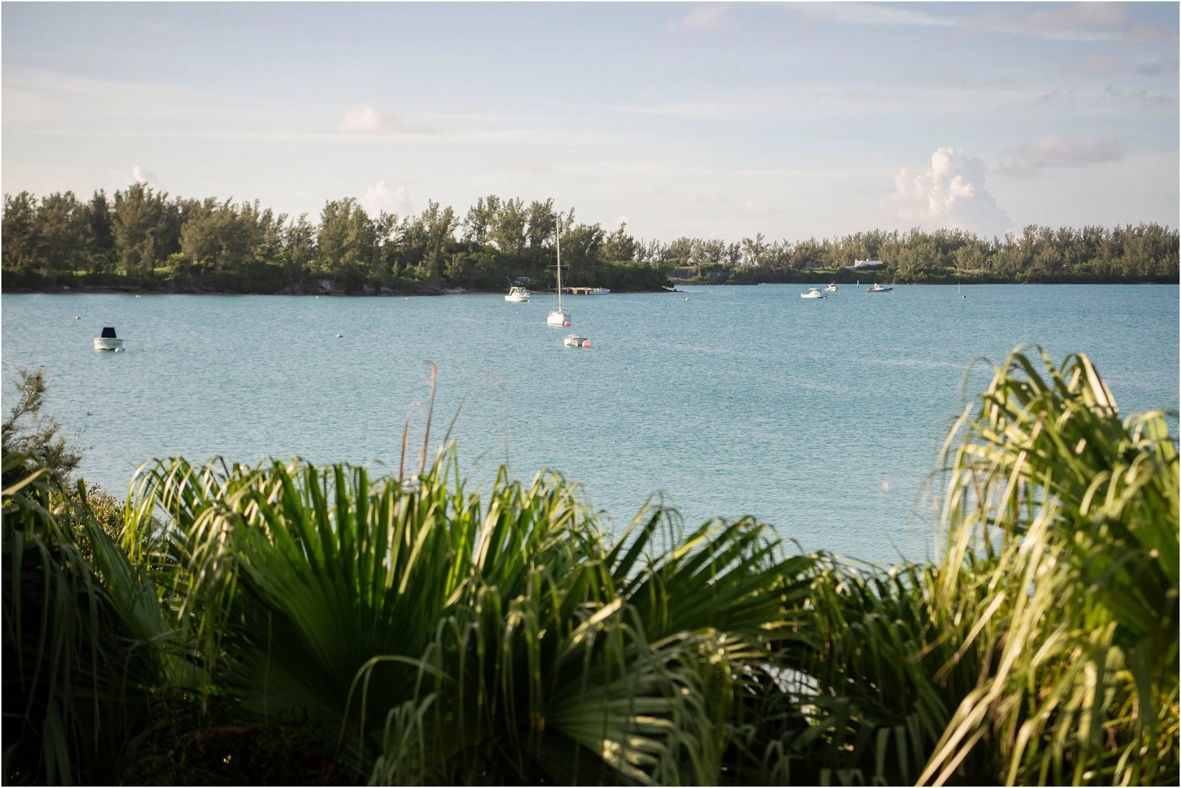 ©FianderFoto_Destination_Wedding_Photographer_Bermuda_Wedding_Photographer_Jaclyn_Anthony__Grotto Bay_156.jpg
