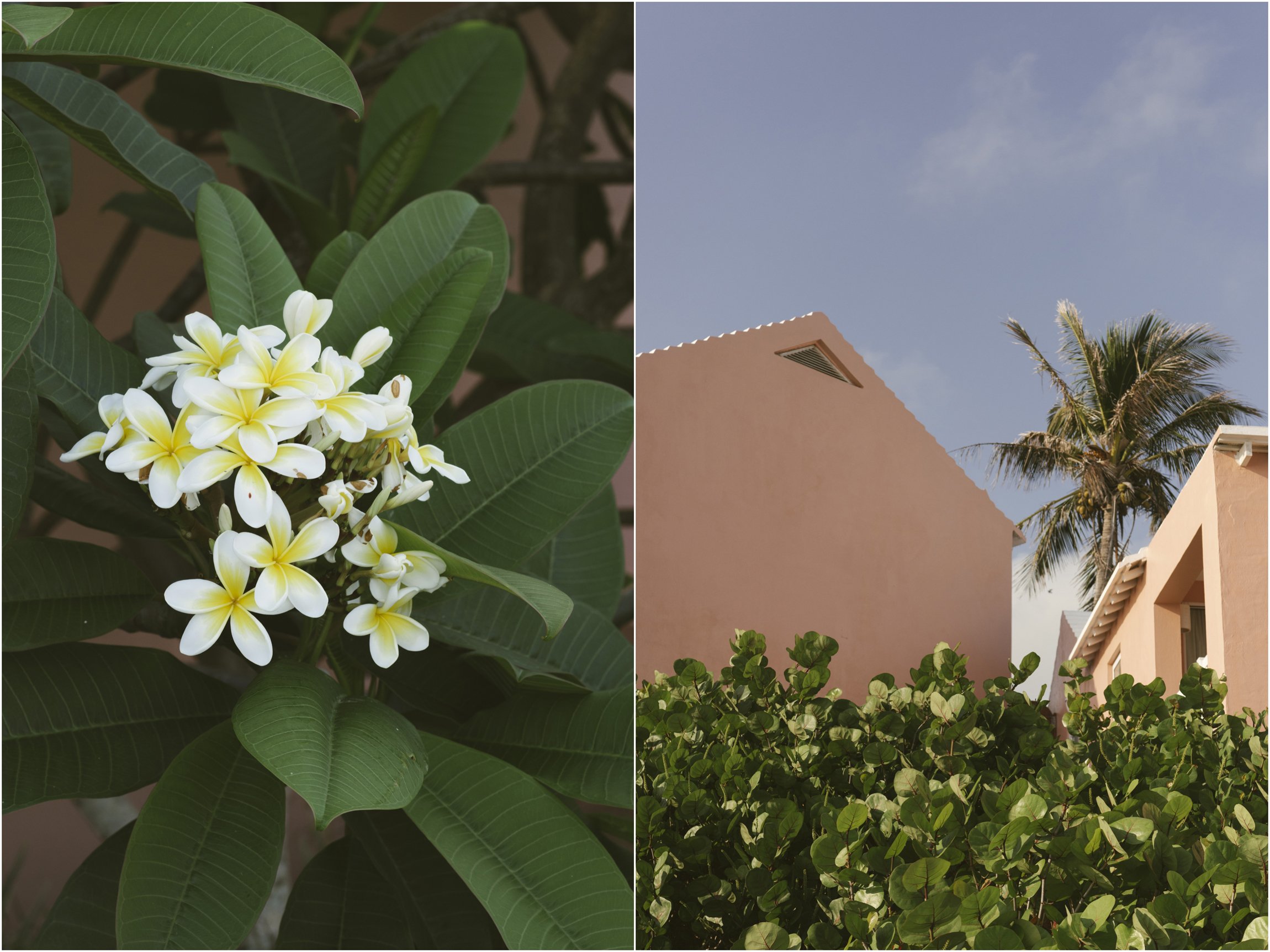 ©FianderFoto_Caribbean_Wedding_Photographer_The Reefs_Bermuda_Lauren_Erik_046.jpg