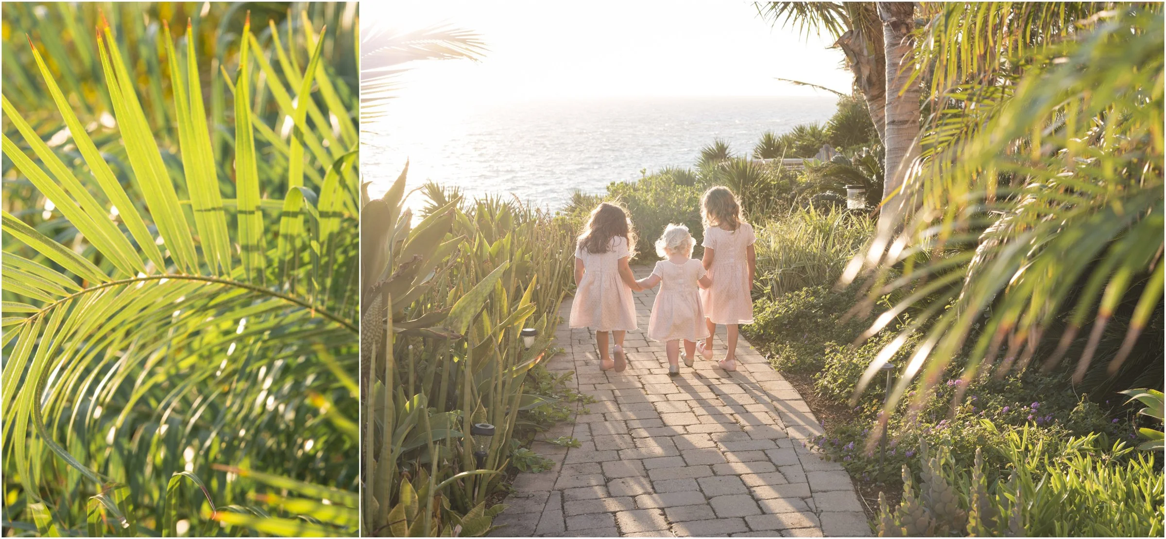 ©FianderFoto_Golden Hour_13.jpg