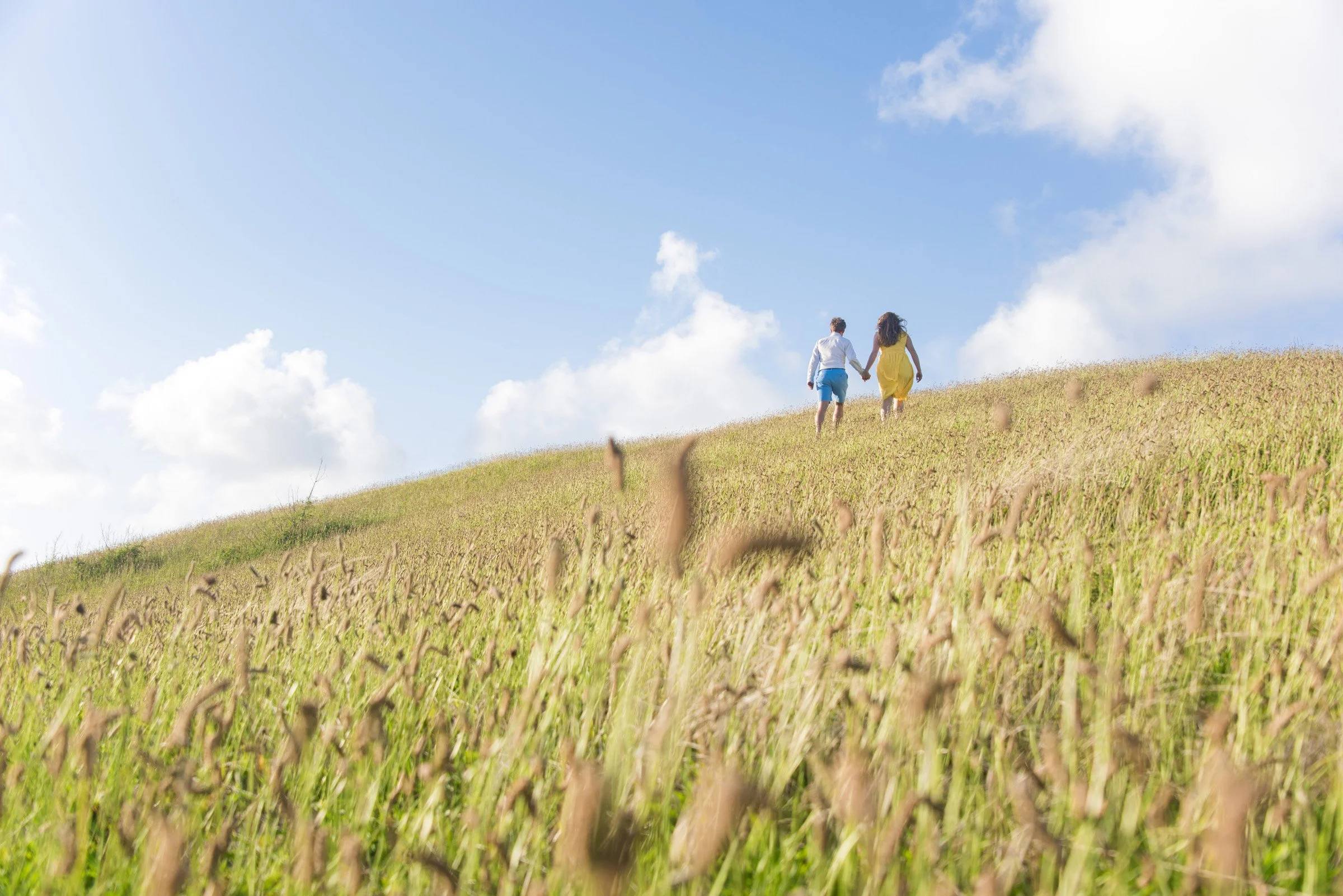 2016: A Year in Review