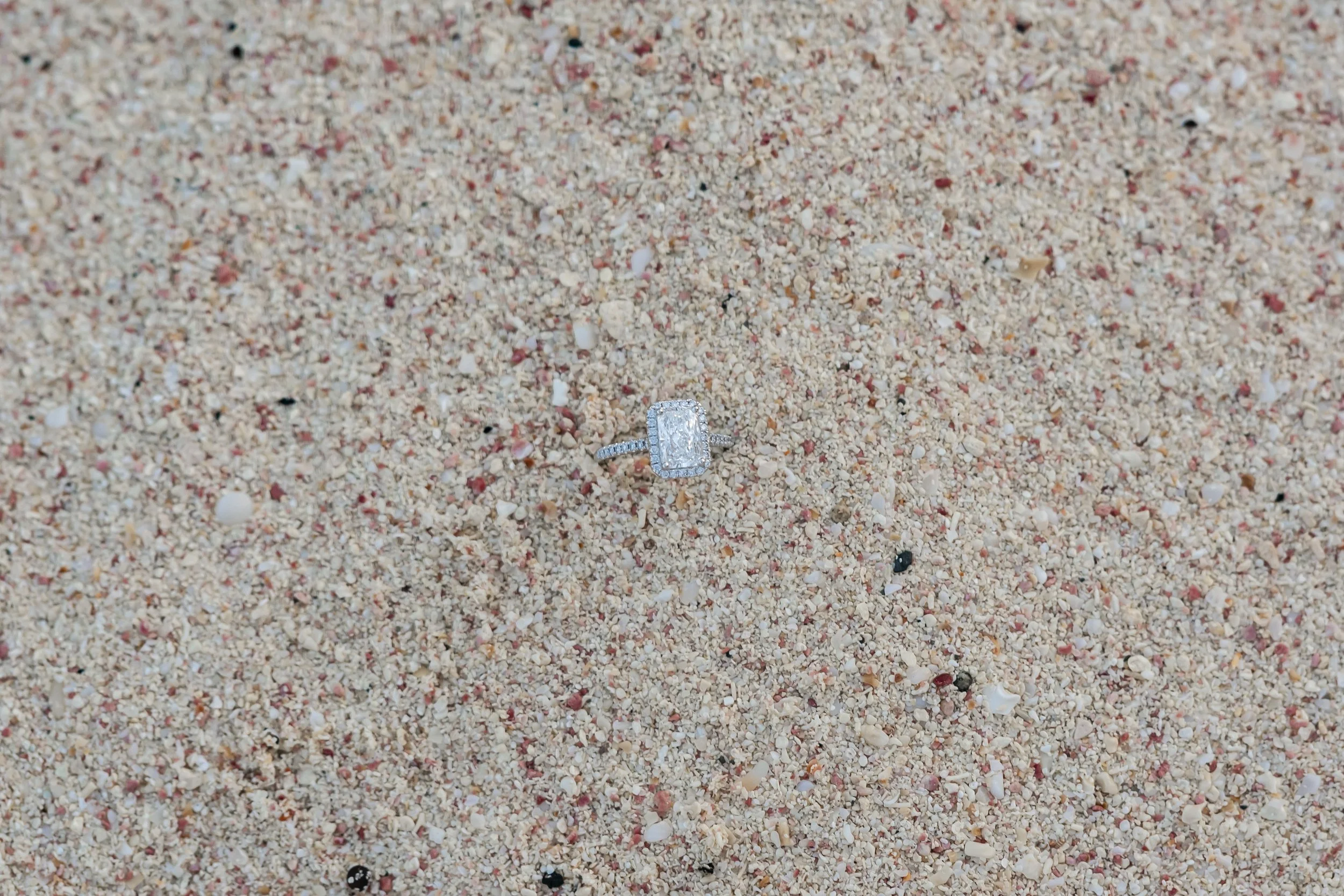 Bermuda's Pink Sand: Fact vs. Fiction