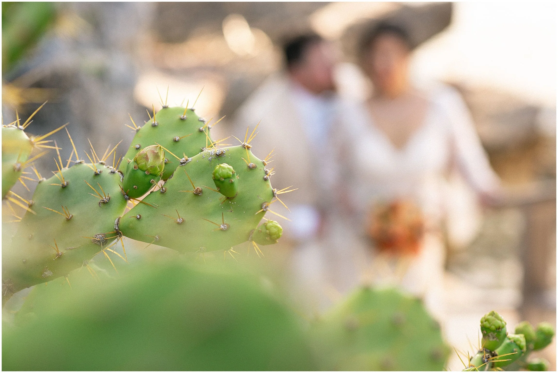 Cambridge Beaches Wedding_Bermuda Photographer_©FianderFoto_WK_046.jpg