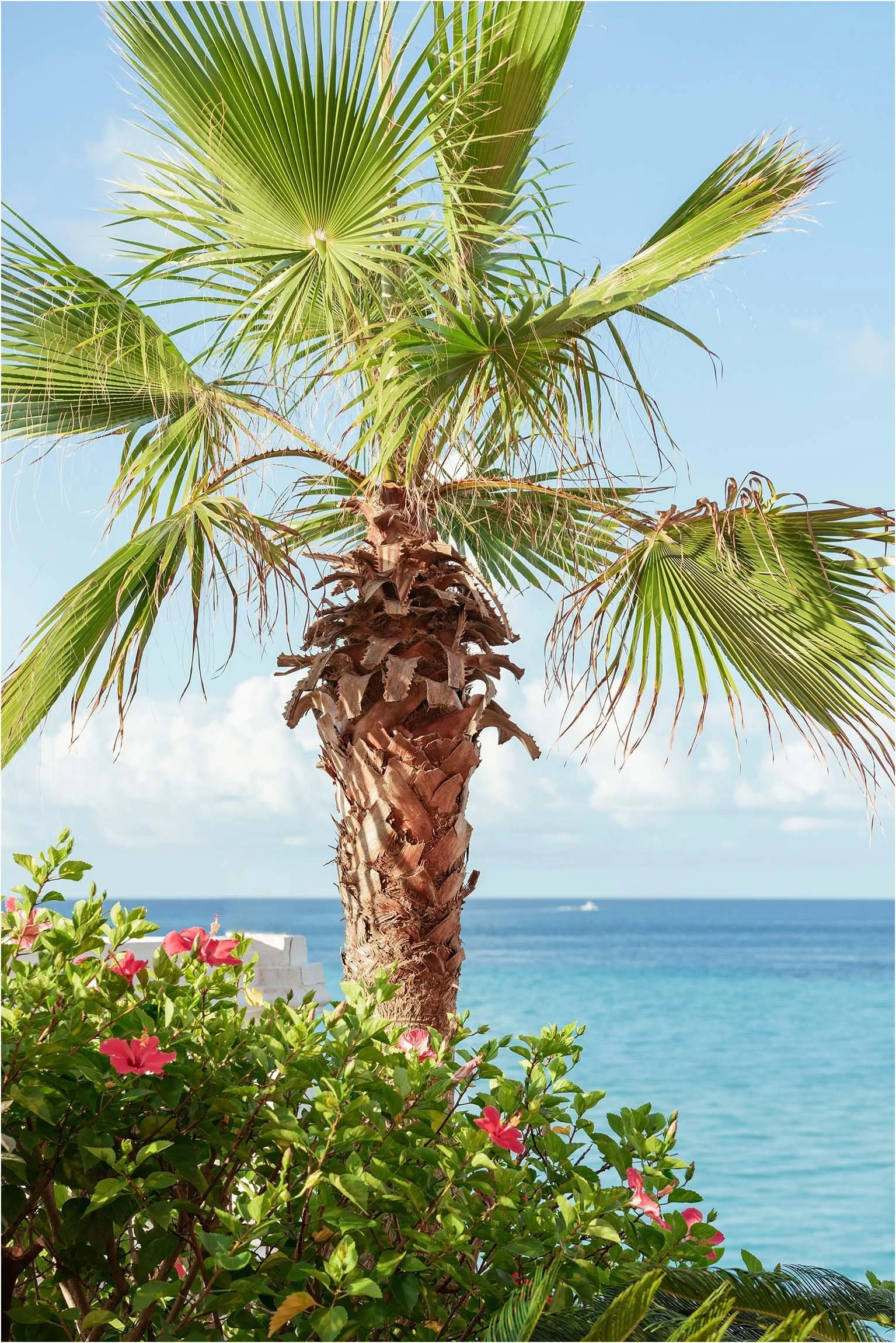 Pompano Beach Club_Bermuda_©FianderFoto_019.jpg