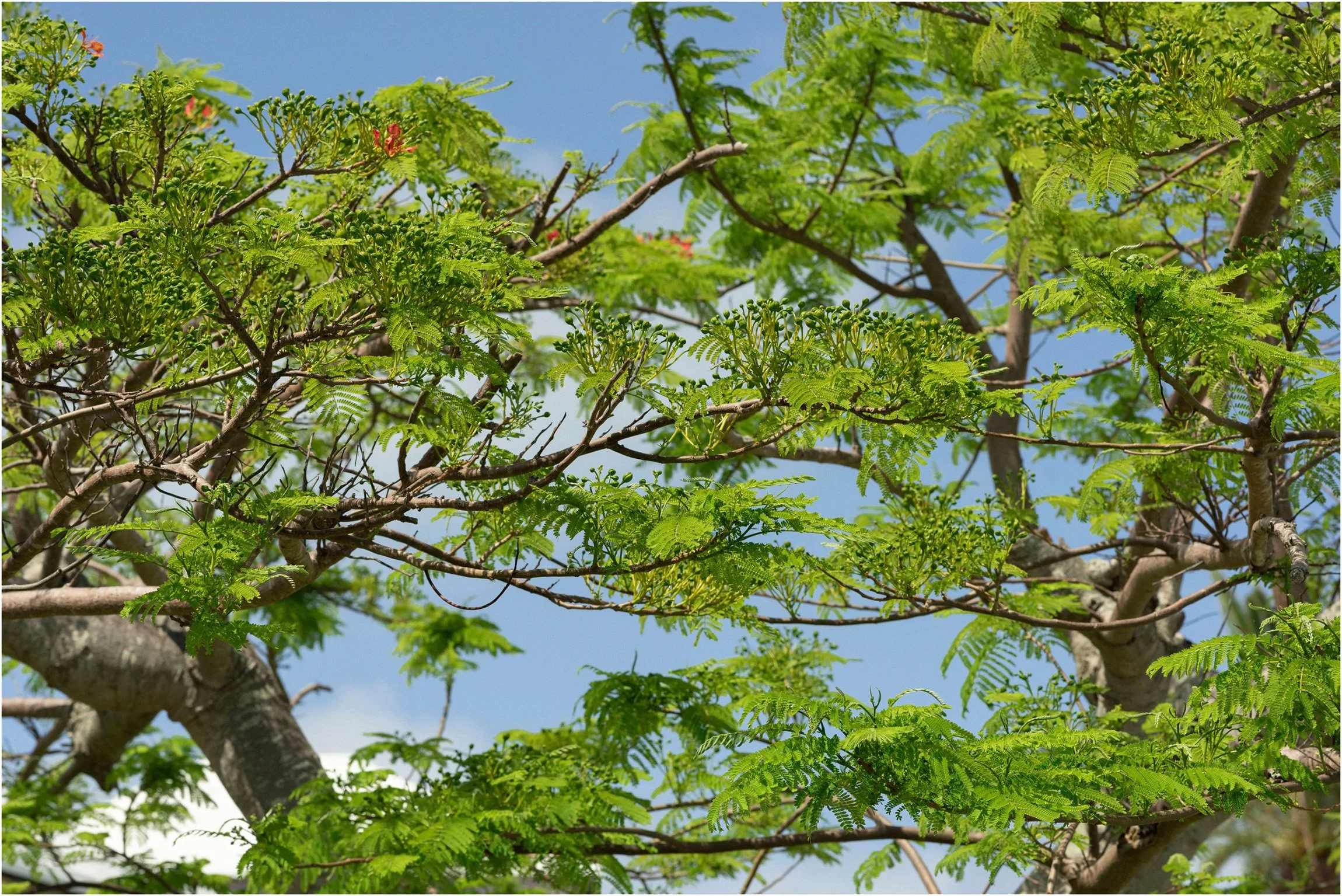 ©FianderFoto_Bermuda Photographer_St George's Club_Allie_Family_022.jpg