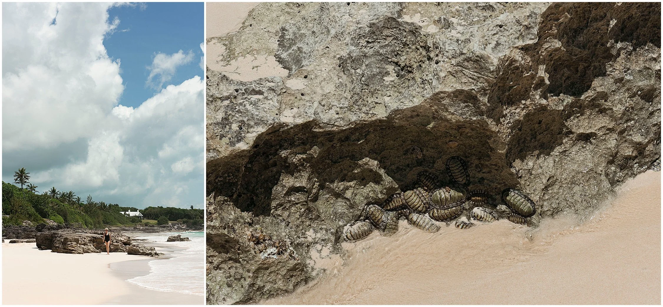 Elopement Photographer Bermuda_Registry General_©Fiander Foto_038.jpg