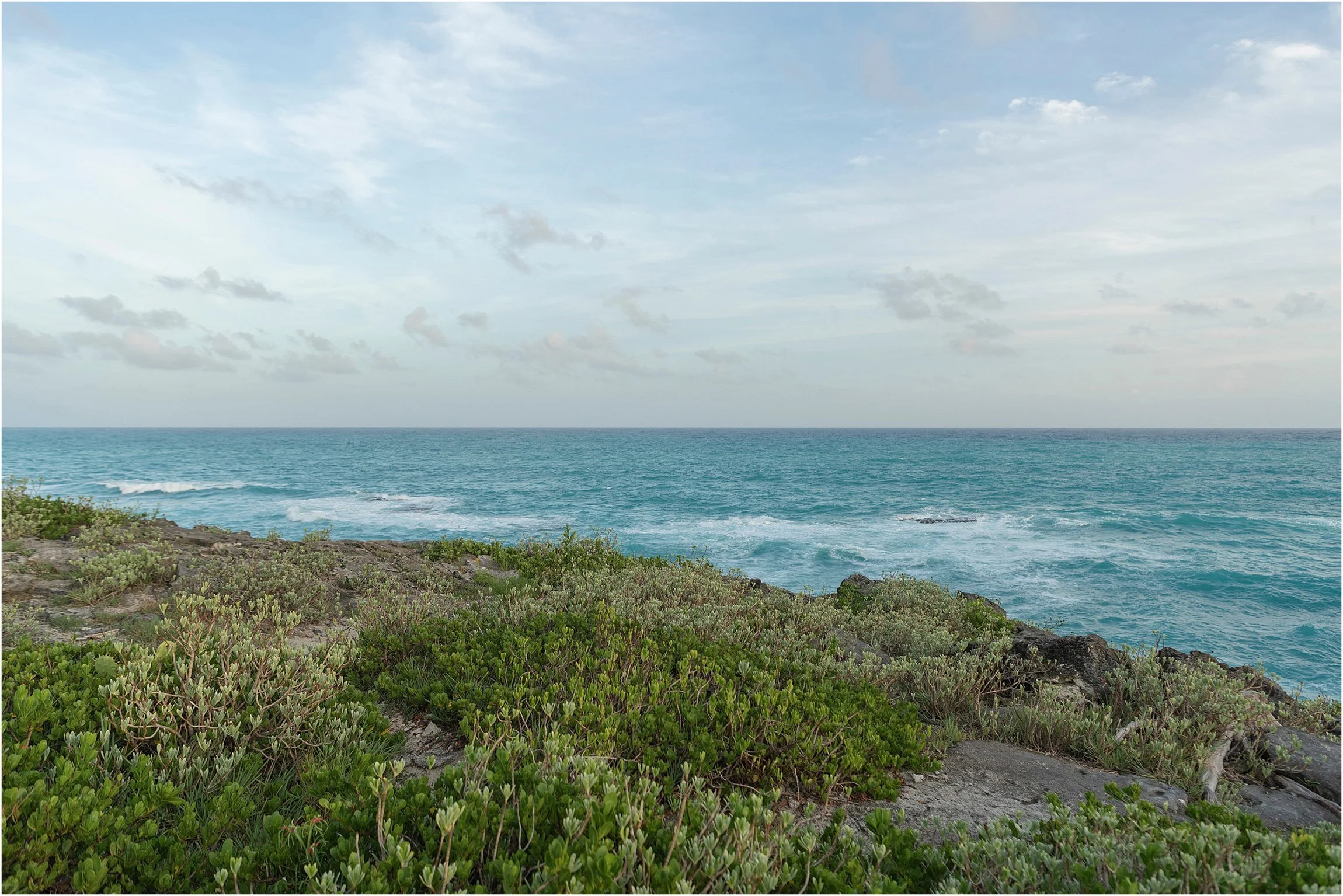 Bermuda Photographer_Spittal Pond_©FianderFoto_010.jpg