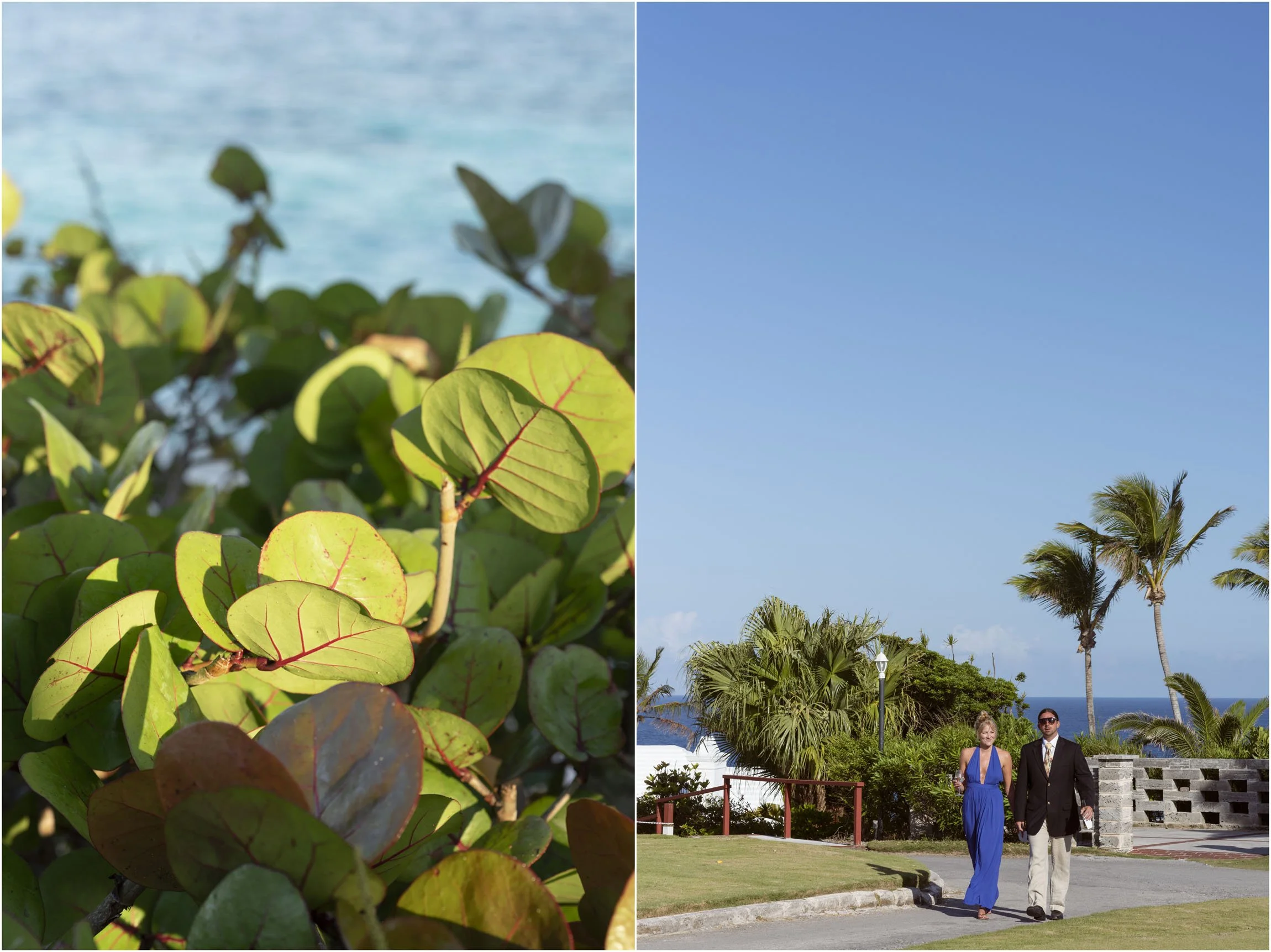 ©FianderFoto_Catherine_Kenny_Coral Beach Wedding_179.jpg