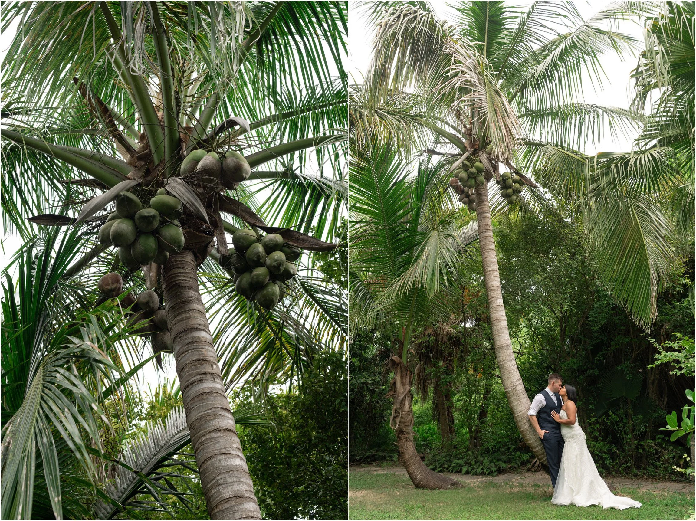 ©FianderFoto_Bermuda Wedding Photographer_Cambridge Beaches_Joanna_Kenneth_032.jpg