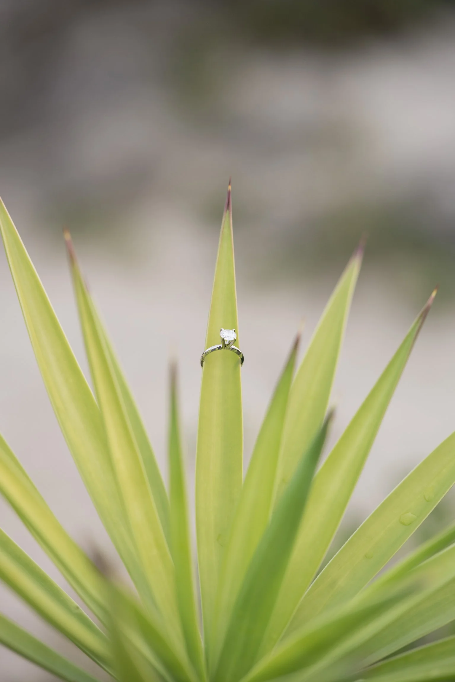 ©FianderFoto_Muf Proposal_059.jpg