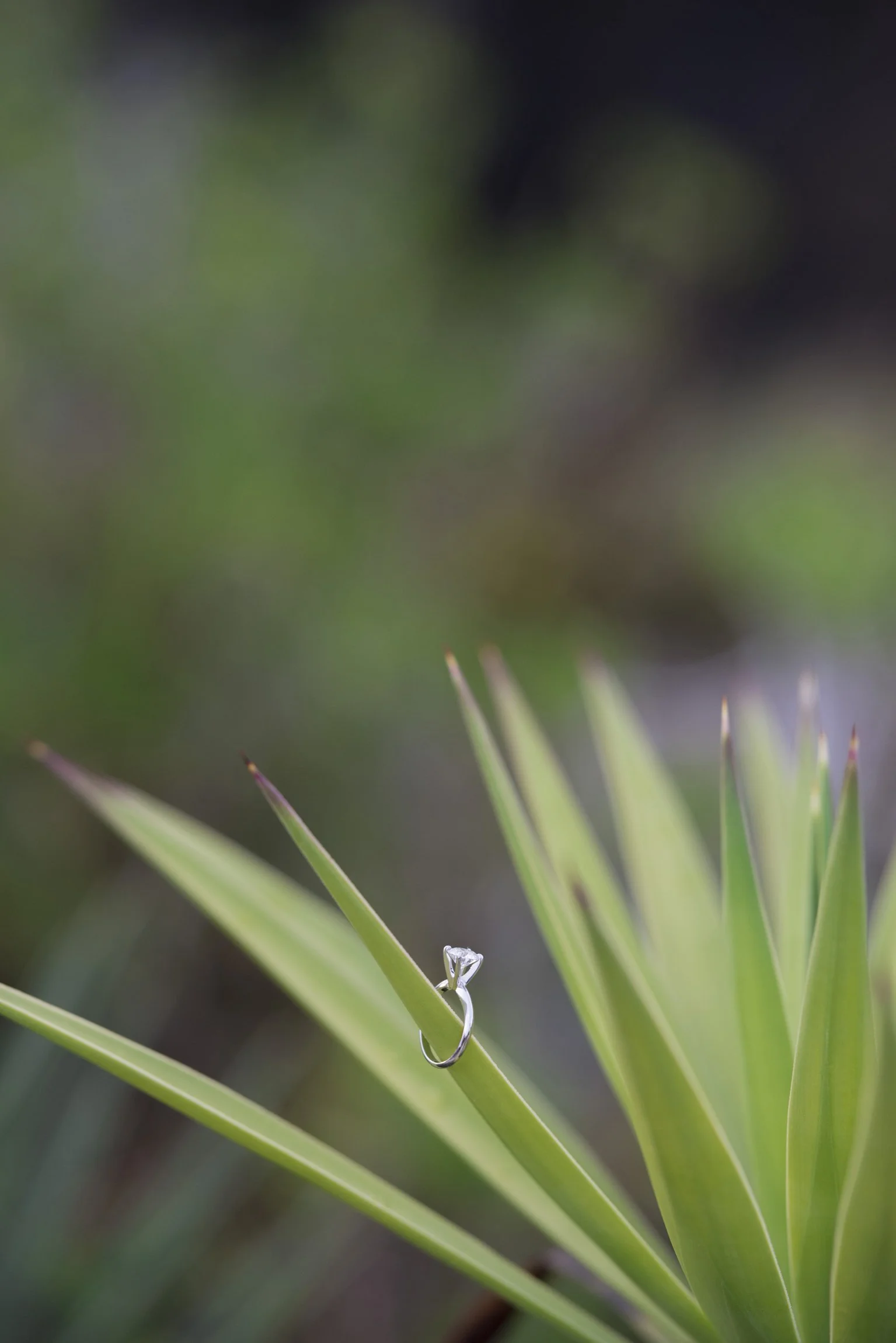 ©FianderFoto_Muf Proposal_057.jpg