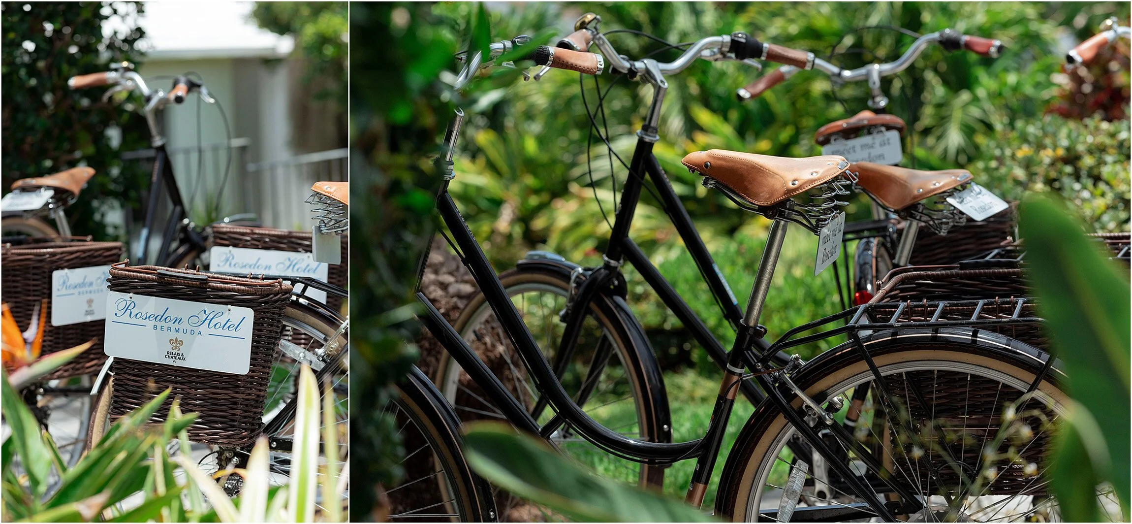 ©FianderFoto_Bermuda Wedding Photographer_Rosedon Hotel_022.jpg