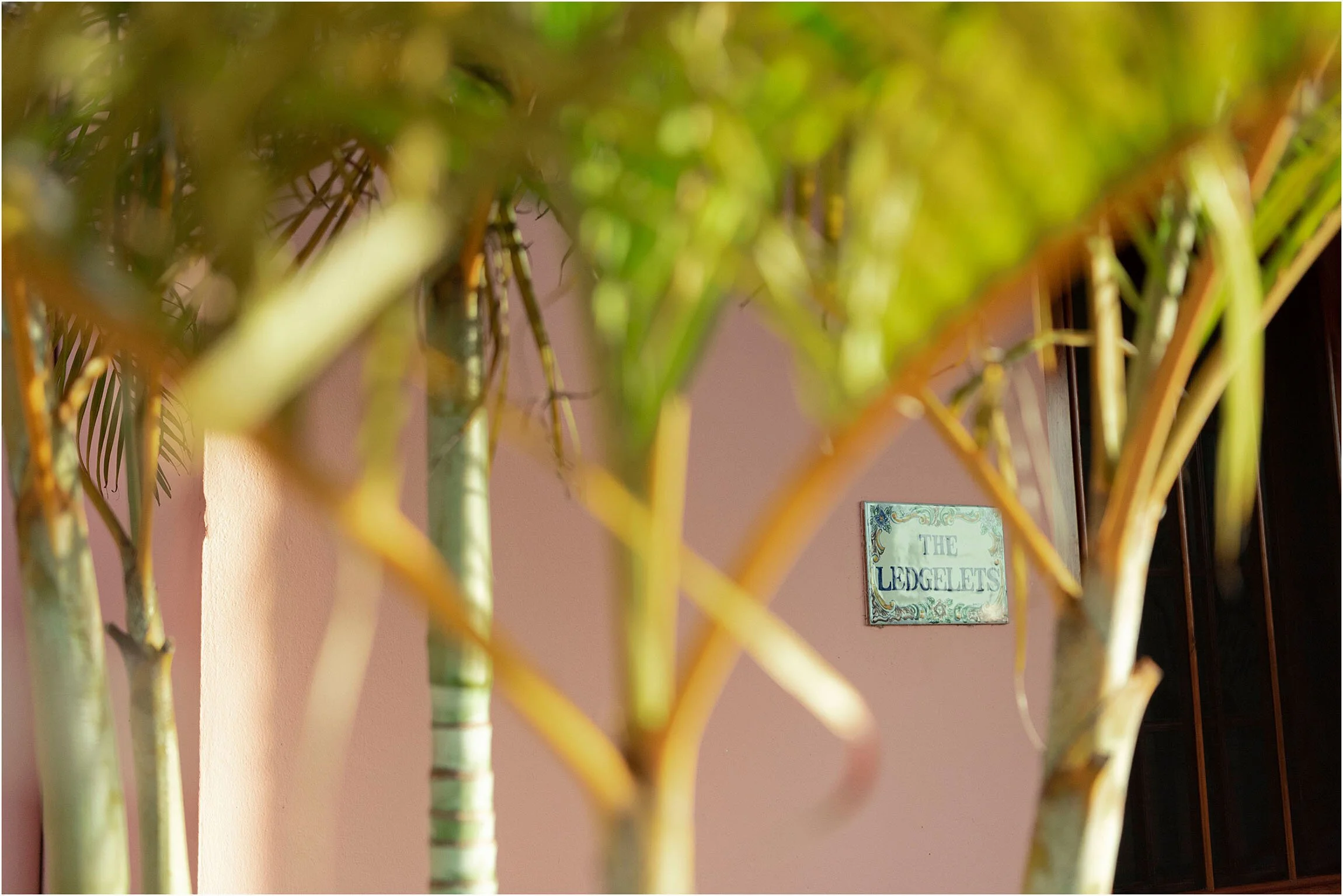 ©FianderFoto_Bermuda Wedding Photographer at The Ledgelets_019.jpg