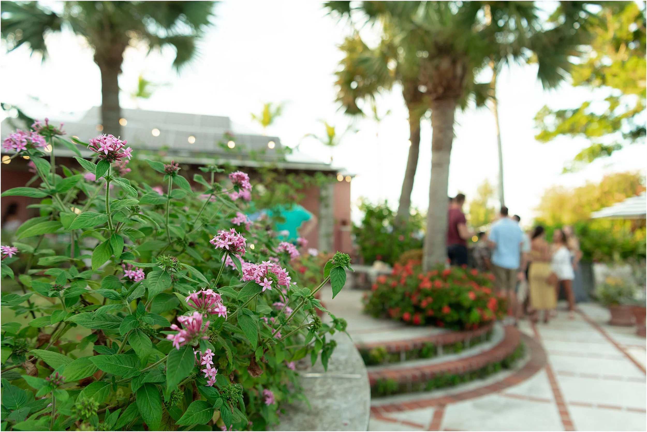 ©FianderFoto_Bermuda Wedding Photographer at The Ledgelets_035.jpg