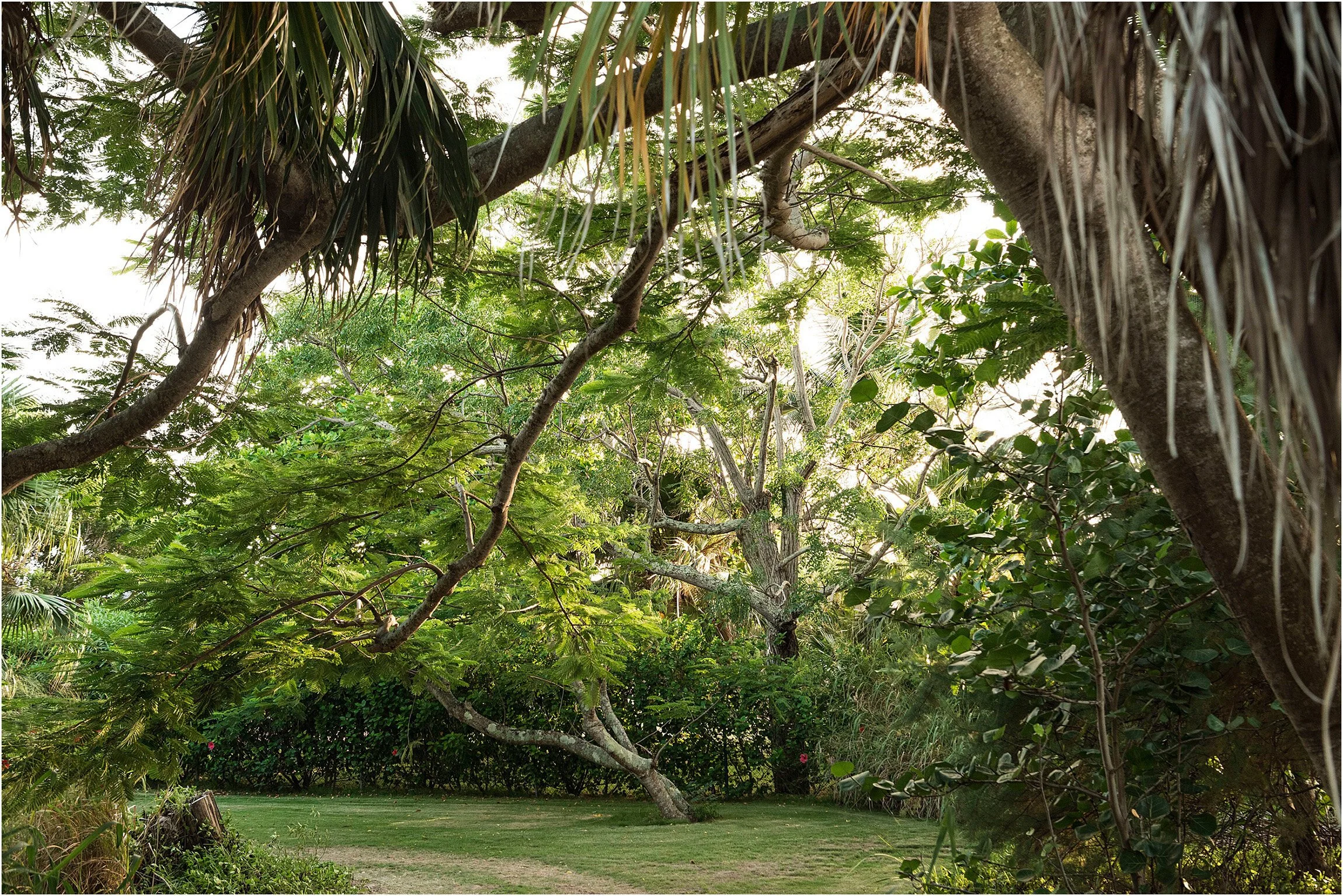 Cambridge Beaches Bermuda_Wedding Photographer_©FianderFoto_090.jpg