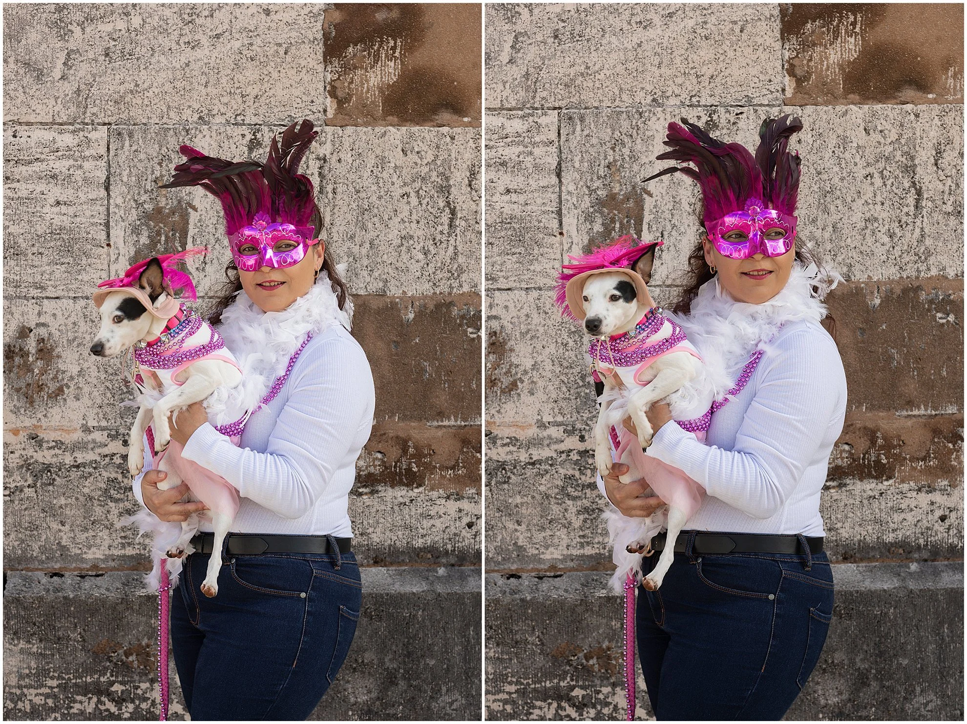 Bermuda Puppy Parade for Pads Pass_Dockyard Bermuda_©FianderFoto_001.jpg