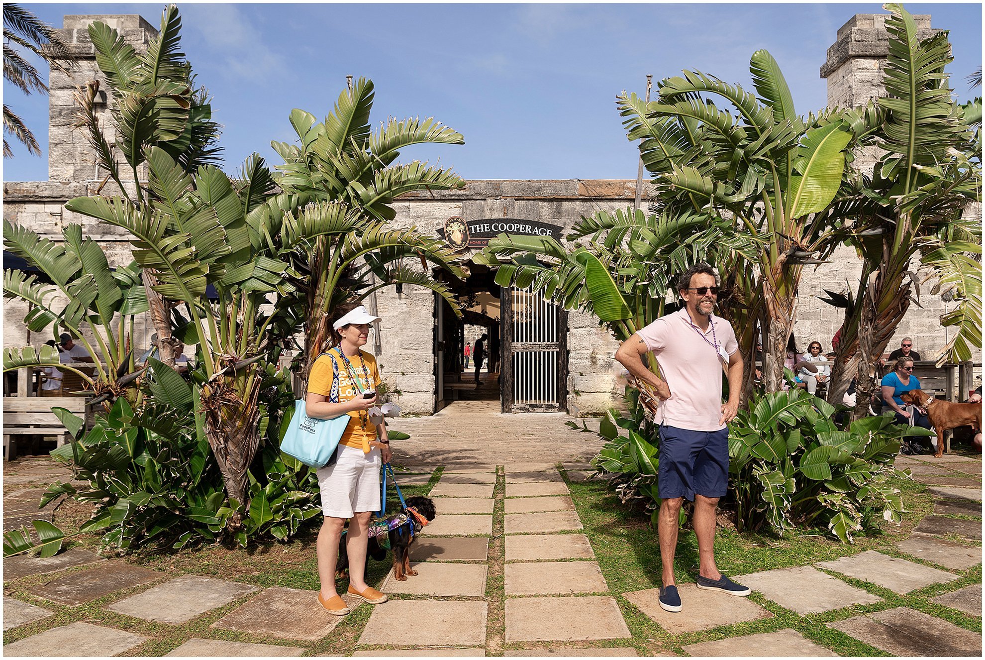 Bermuda Puppy Parade for Pads Pass_Dockyard Bermuda_©FianderFoto_016.jpg