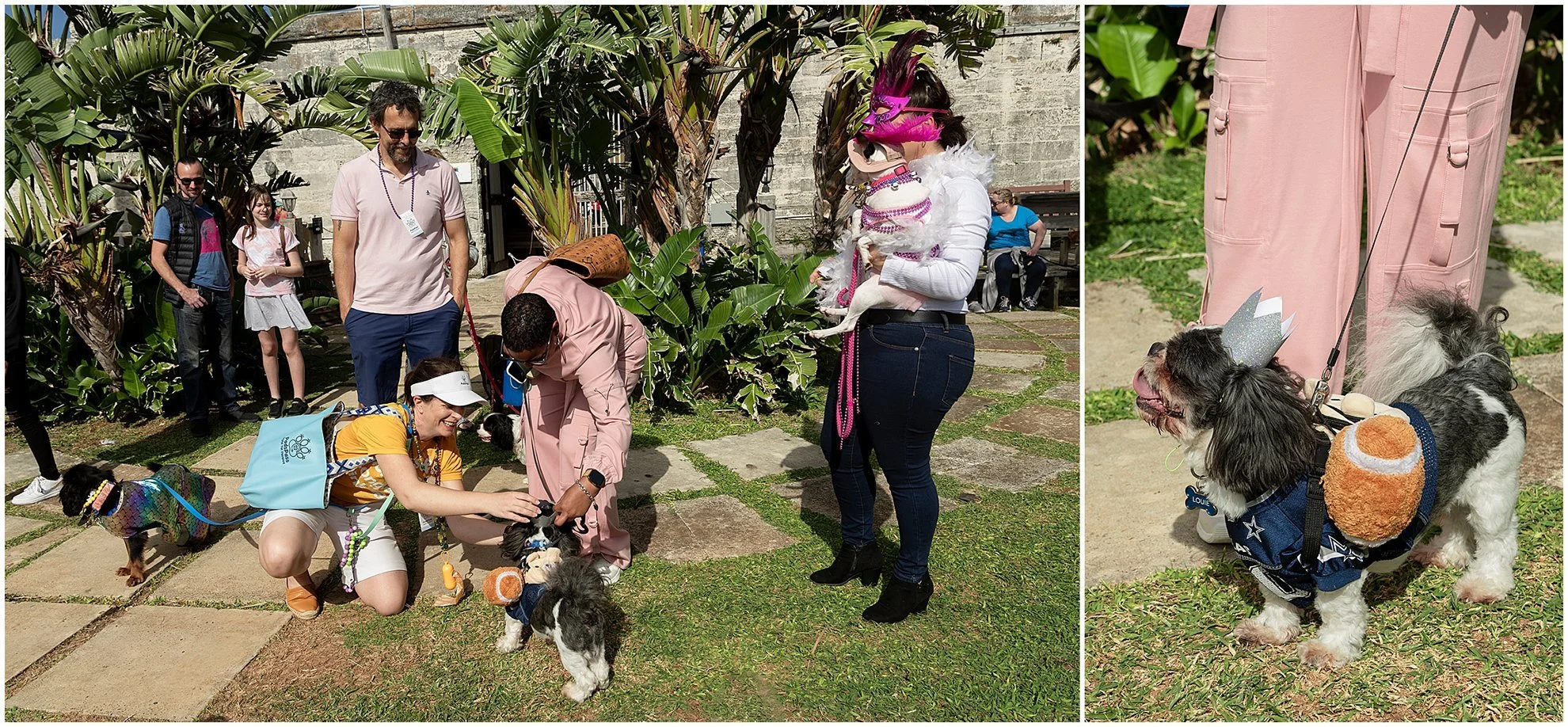 Bermuda Puppy Parade for Pads Pass_Dockyard Bermuda_©FianderFoto_019.jpg