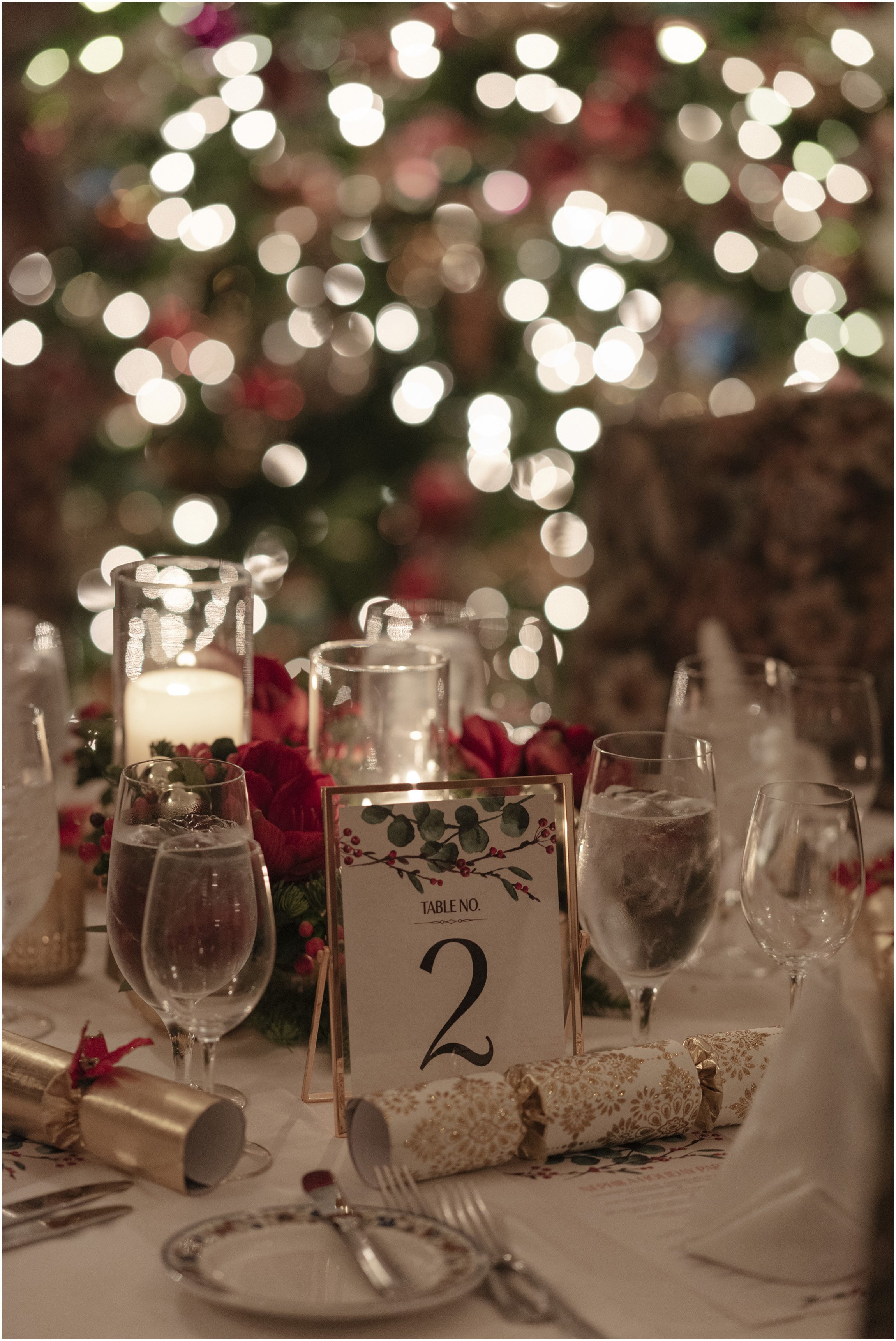 ©FianderFoto_Bermuda Photographer_Nephila_Holiday_Event_2018_008.jpg