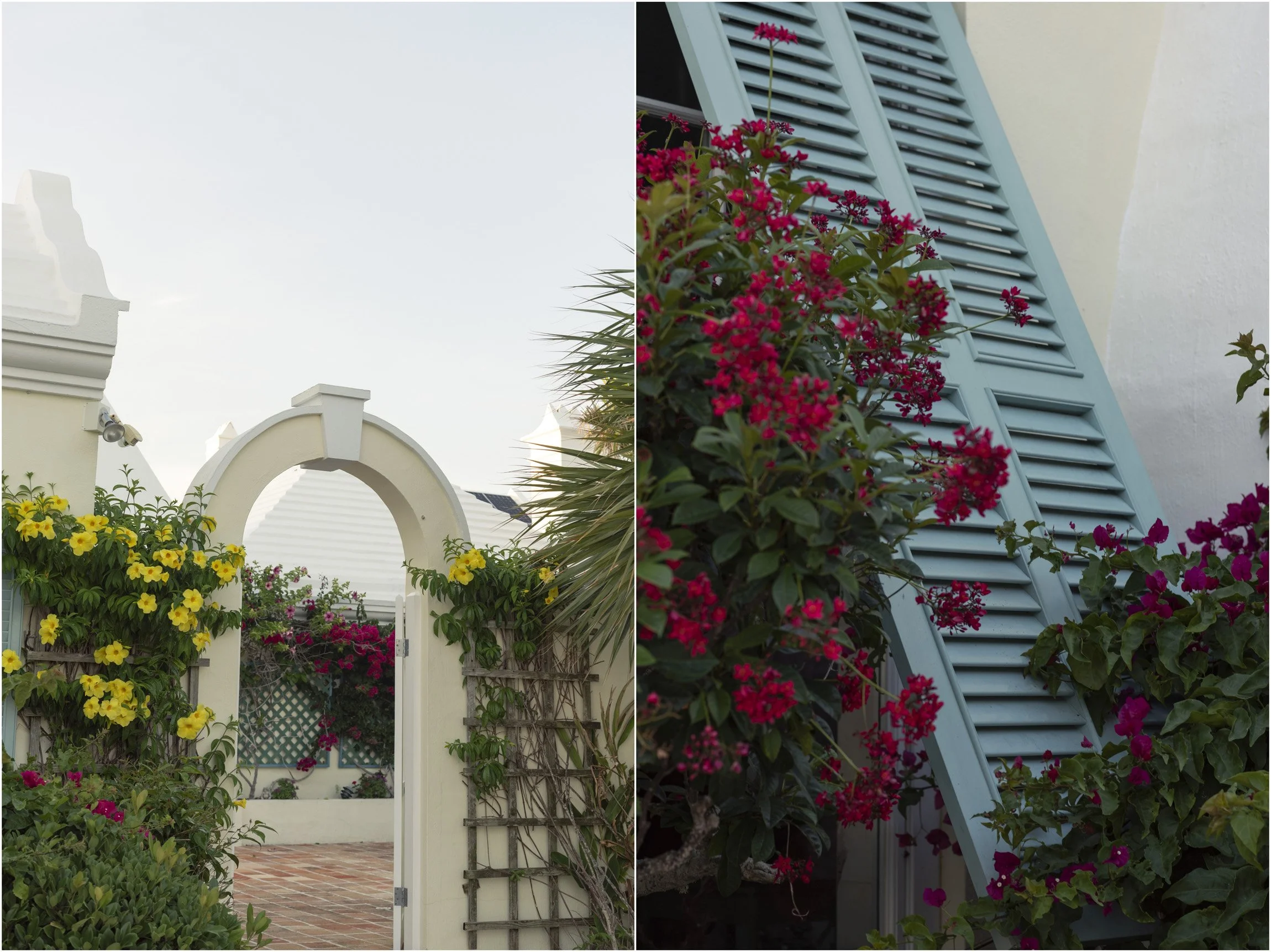 ©FianderFoto_Bermuda Photographer_Nephila_Event_028.jpg