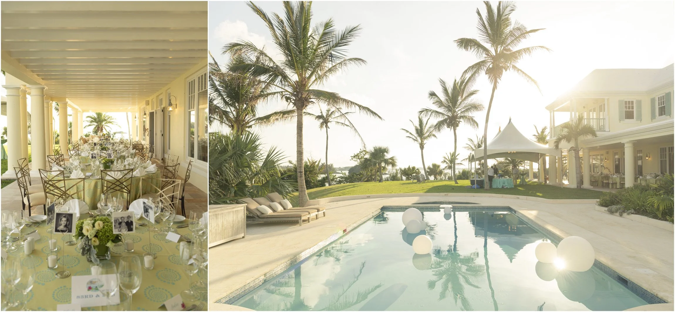 ©FianderFoto_Bermuda Photographer_Nephila_Event_006.jpg