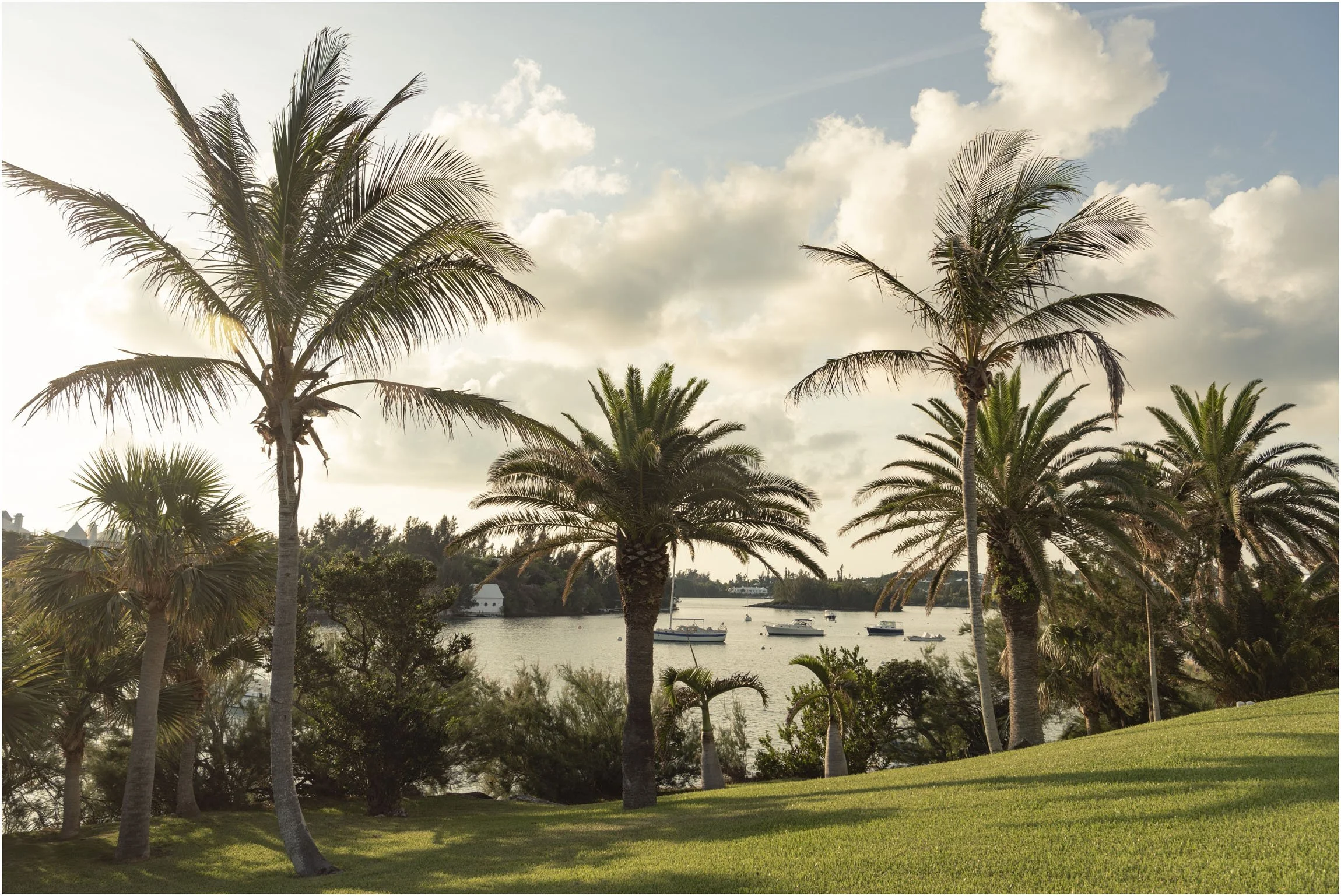 ©FianderFoto_Bermuda Photographer_Nephila_Event_008.jpg