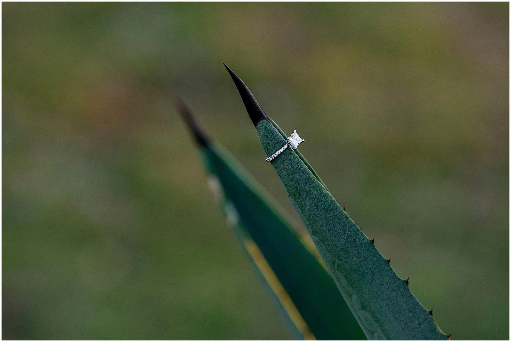 Bermuda Engagement Photographer_Ferry Reach Park_©FianderFoto_022.jpg