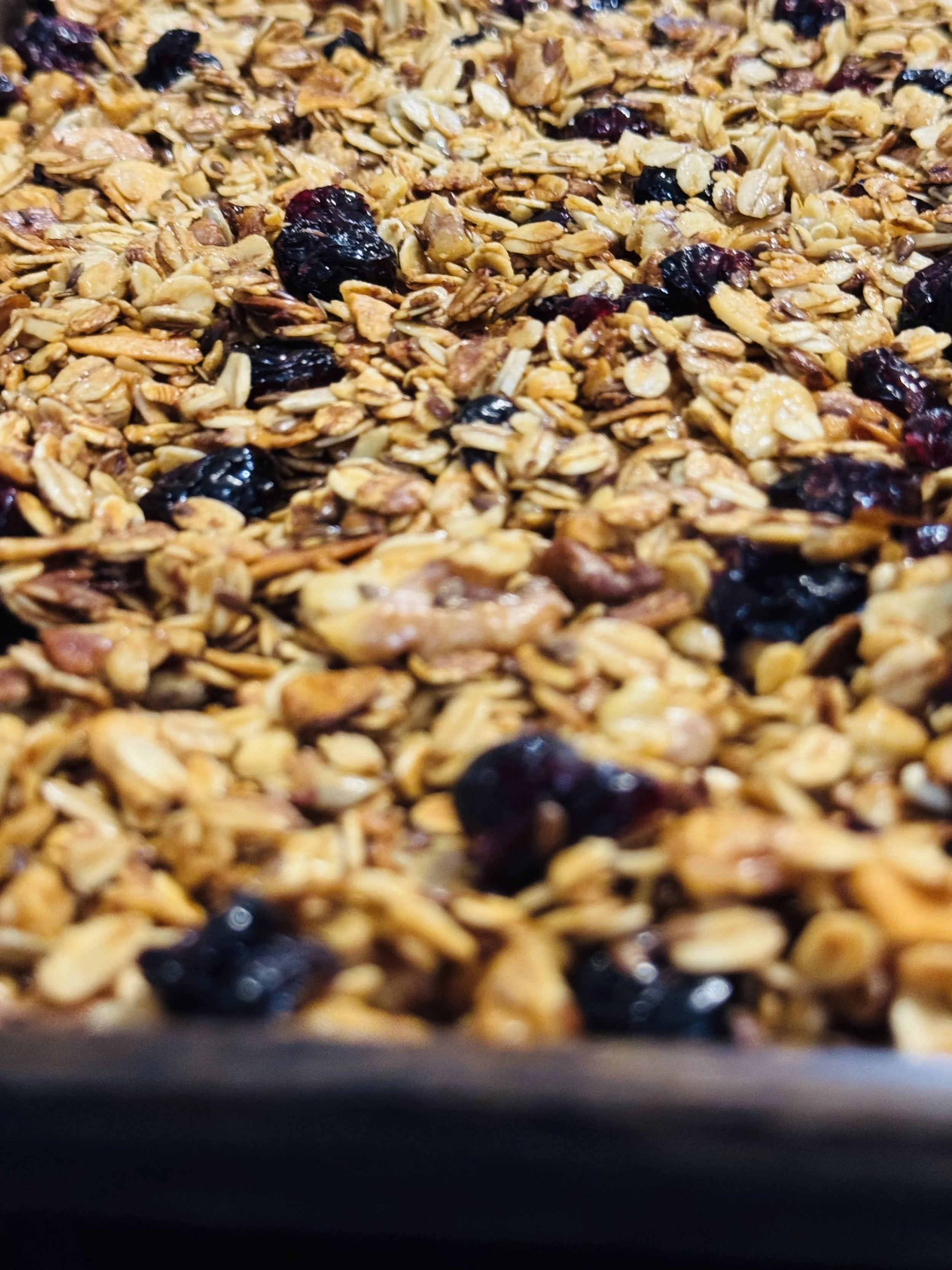 extura de granola artesanal con hojuelas de avena doradas, trozos de nuez pecana y arándanos deshidratados dulces en primer plano enfocado.