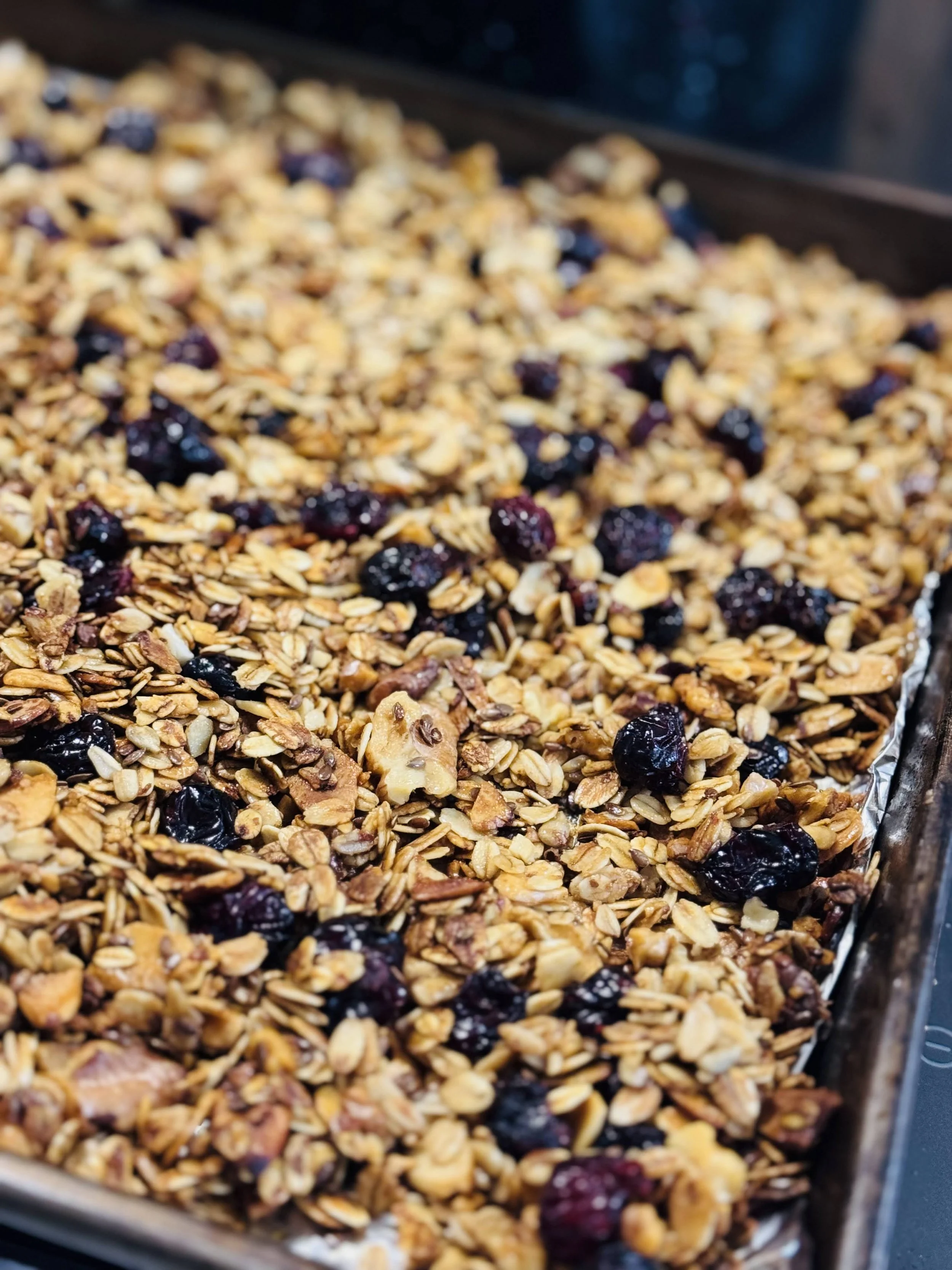 Primer plano de granola artesanal recién horneada con hojuelas de avena tostada, nueces de castilla, semillas y abundantes arándanos secos en charola.