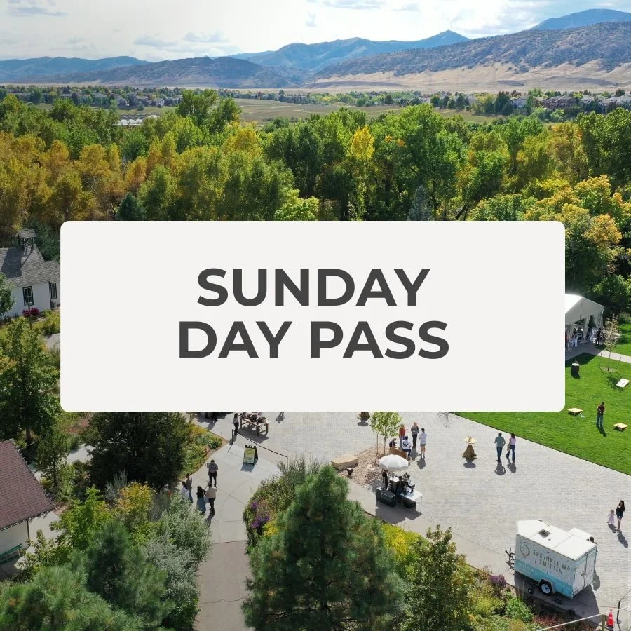 DAY PASS: SUNDAY ($188)