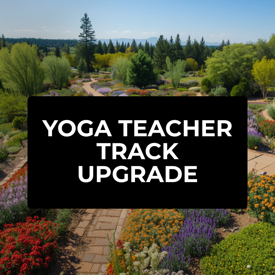 Teacher Track Upgrade - Requires Weekend Summit Pass
