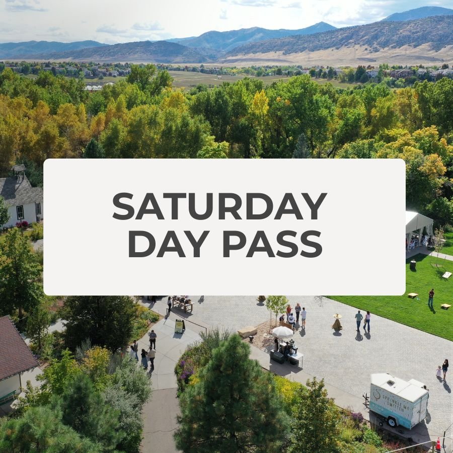 DAY PASS: SATURDAY ($222)