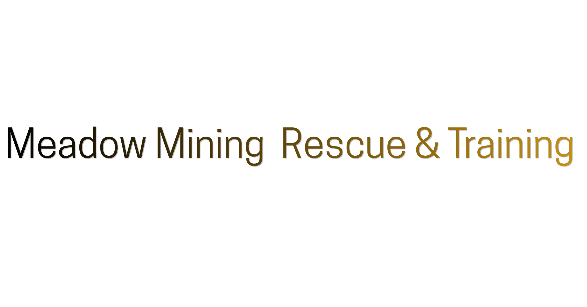 Logo with a black background and gold text that reads 'Meadow Mining Rescue & Training'.
