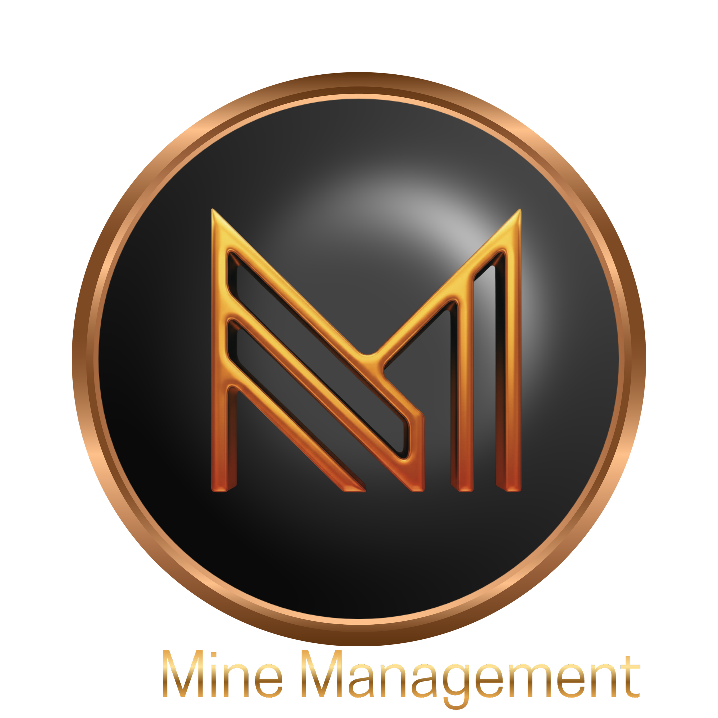 Meadow Mining project management