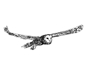 Black and white illustration of an owl in flight with wings spread wide.