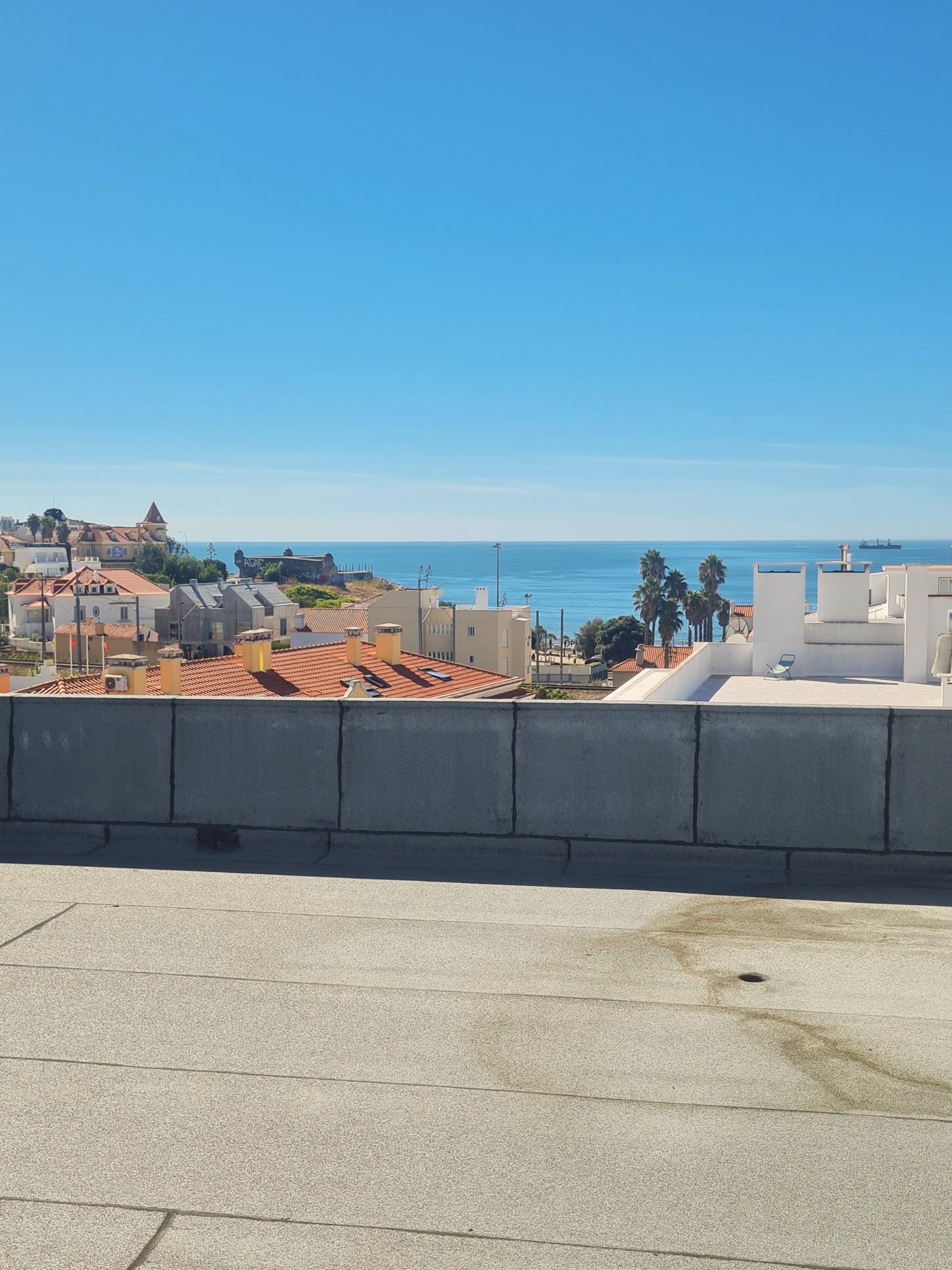 View of rooftops, palm trees, and the ocean under a clear blue sky from a rooftop or balcony