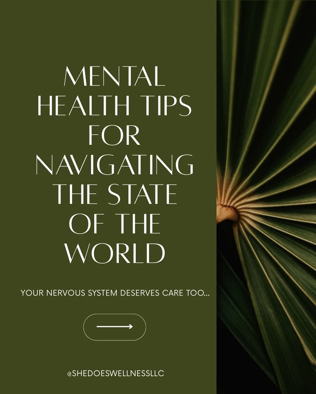the state of the world, news &amp; social media can be activating, overwhelming, and exhausting especially if it leaves your nervous system in fight-or-flight.

these somatic practices can help you stay grounded without disengaging from what matters.