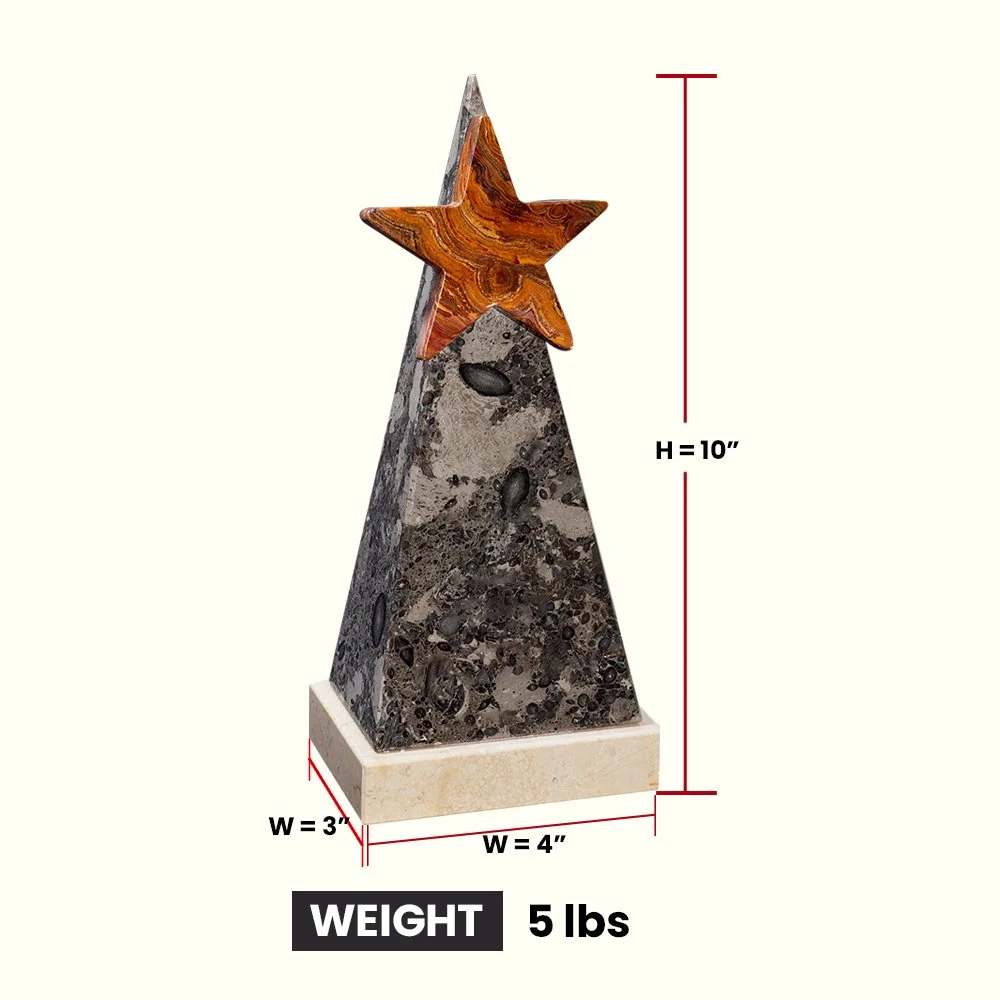 DAA666 2.jpg