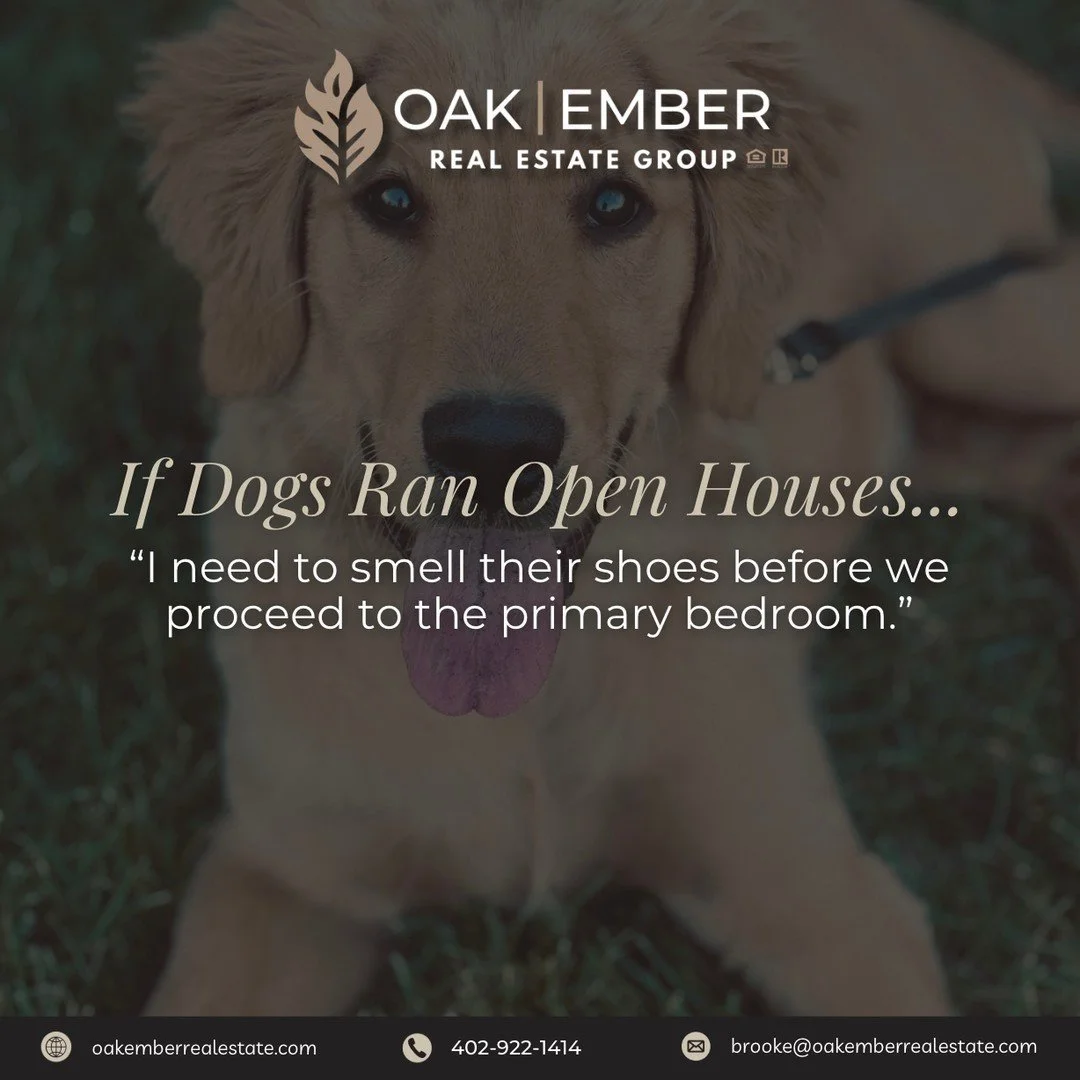 🐾🏡 If dogs ran open houses, the first stop definitely wouldn&rsquo;t be the kitchen, it would be every scent in the house.⁠
⁠
While our four-legged friends may judge a home by the smells and shoe collection, buyers tend to focus on things like layo