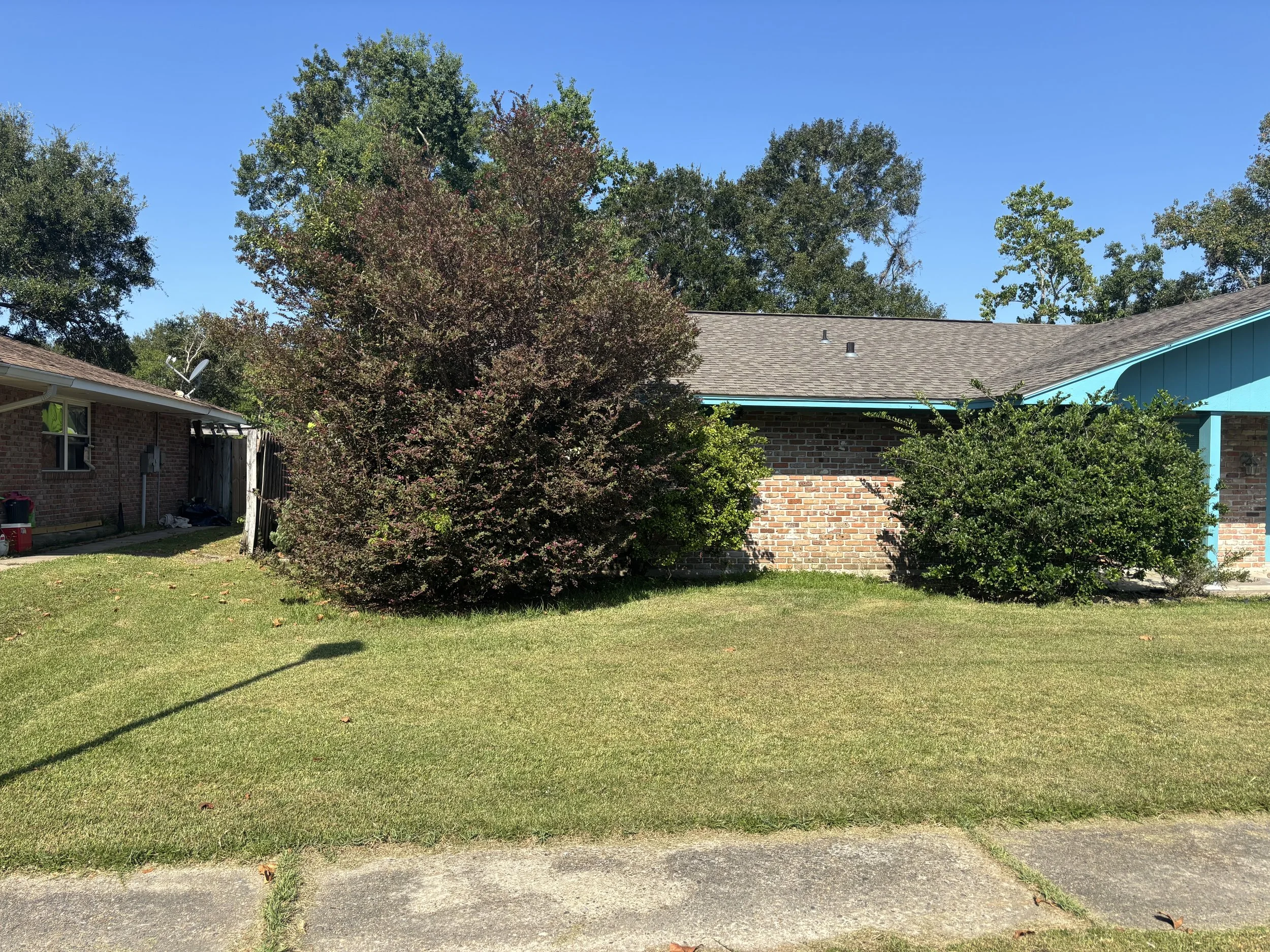 A residential yard with a grassy lawn, bushes, and trees in front of brick and blue house with a pitched roof under a clear blue sky in Long Beach, MS.