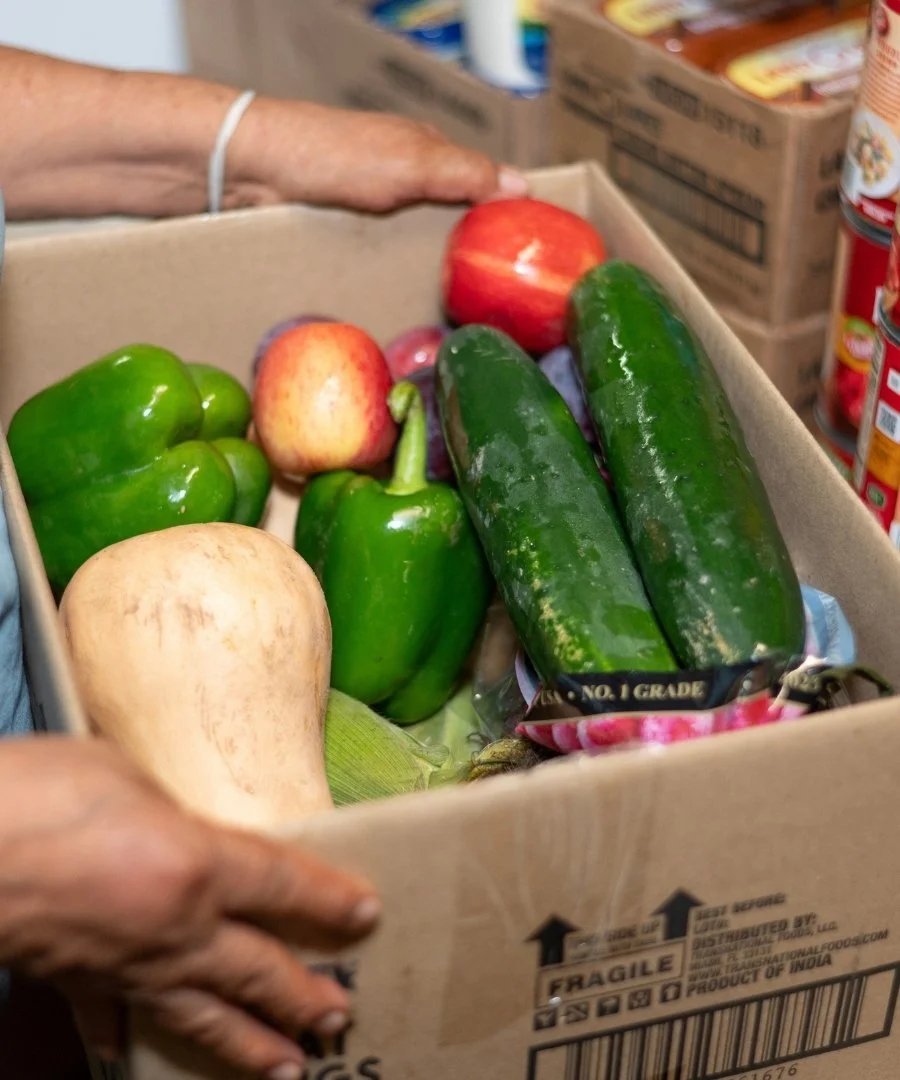 A cardboard box filled with green bell peppers, cucumbers, apples, and a butternut squash, with a person's hand resting on the edge of the box at the food shelf at Jericho Road Ministries Powderhorn location in Minneapolis, Minnesota.