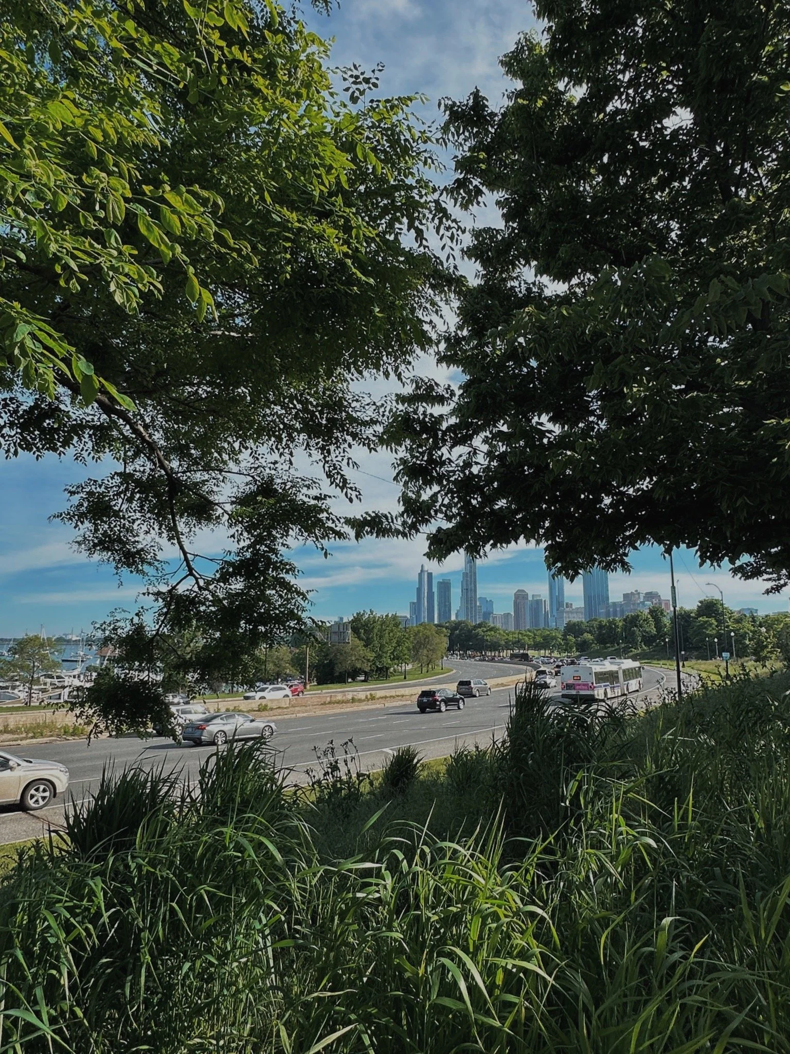 City skyline seen through trees and bushes near a highway with cars and a bus, under a partly cloudy sky.