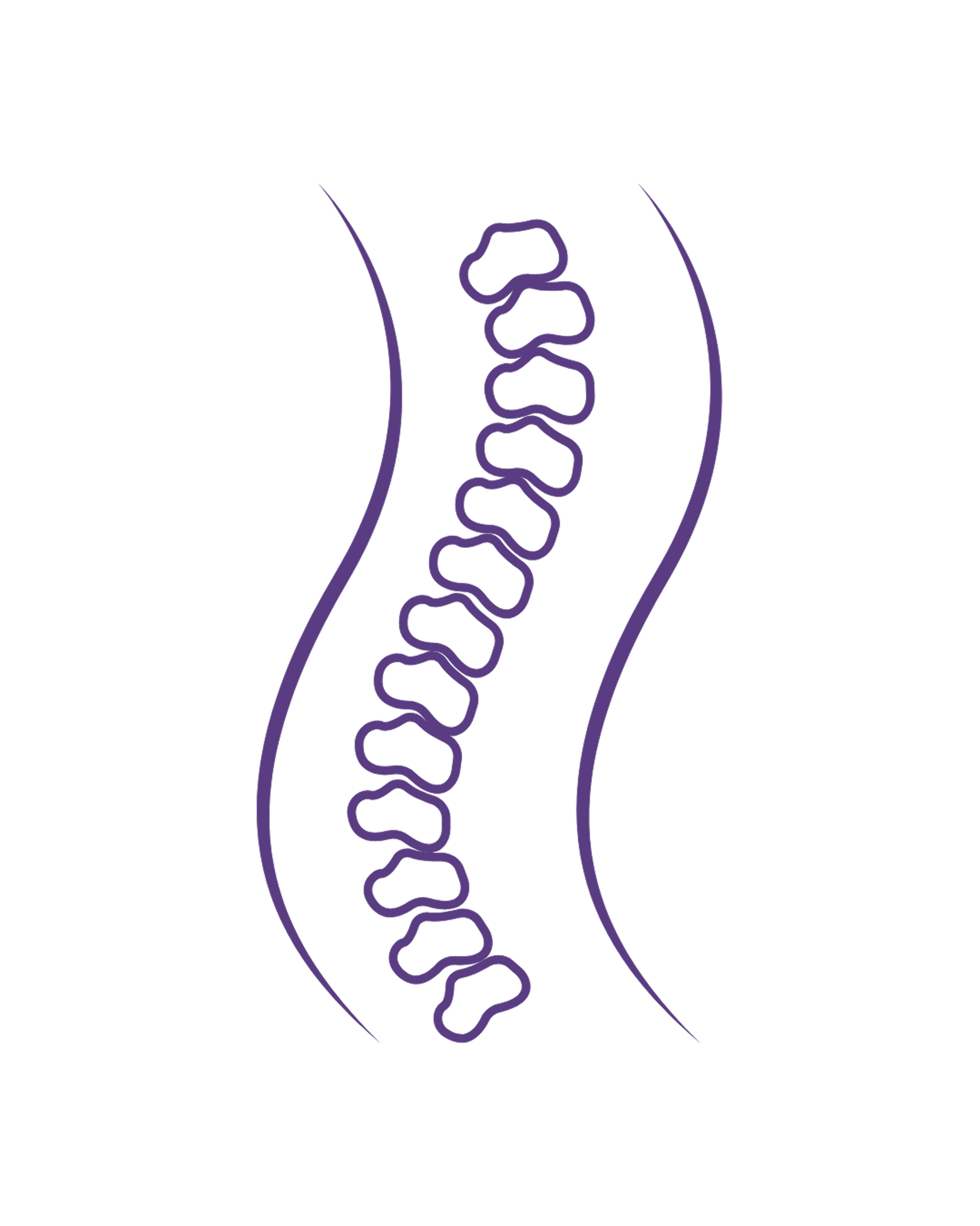 A diagram of a human vertebral column showing 24 vertebrae in the spine.